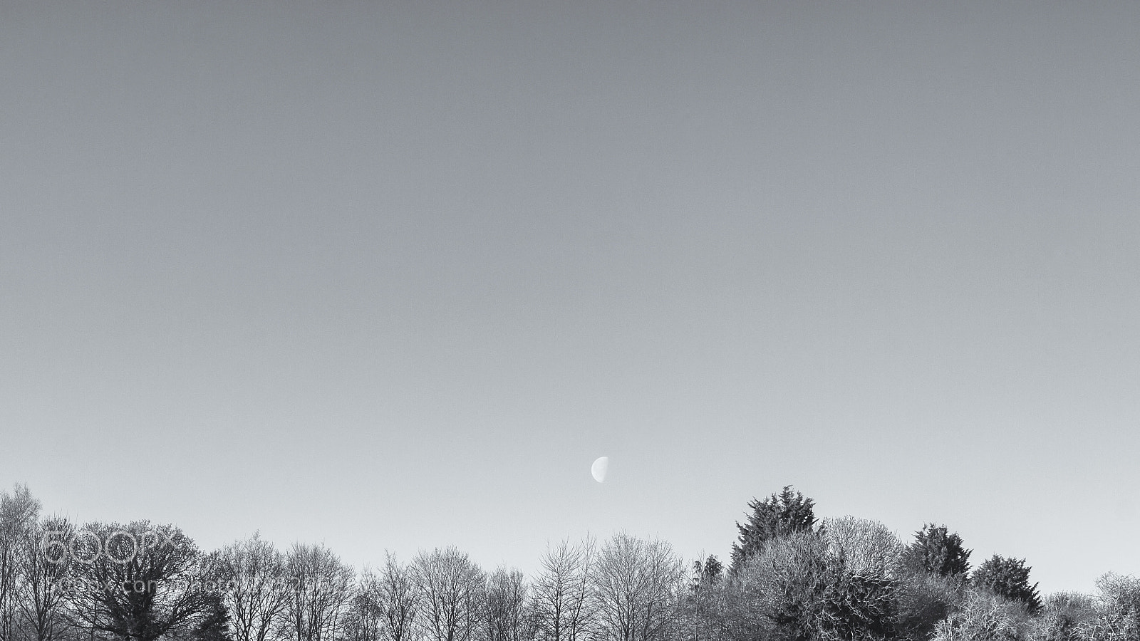 Canon EOS 50D sample photo. Moon in the morning photography