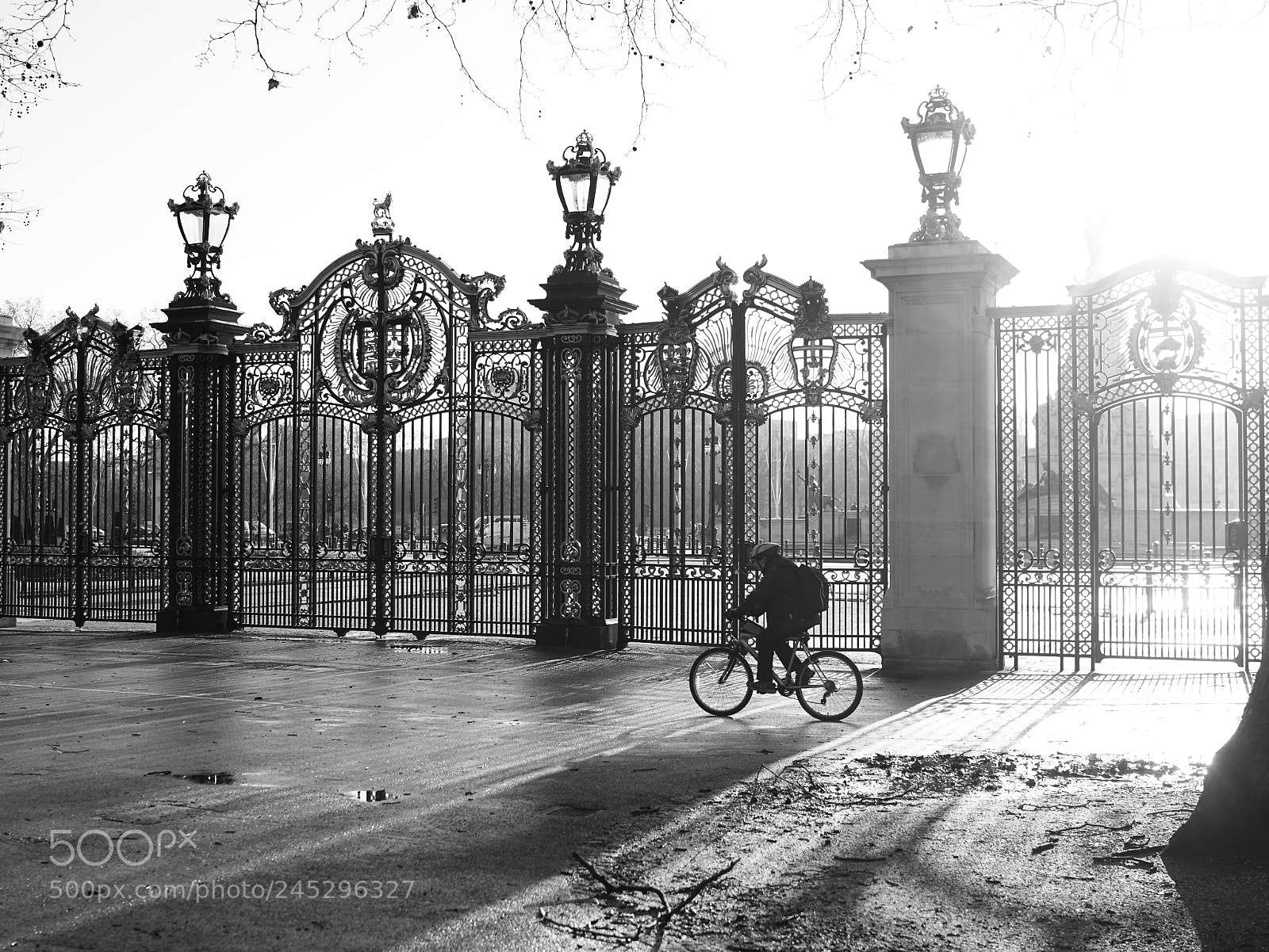 Sony a7R II sample photo. Hyde park photography