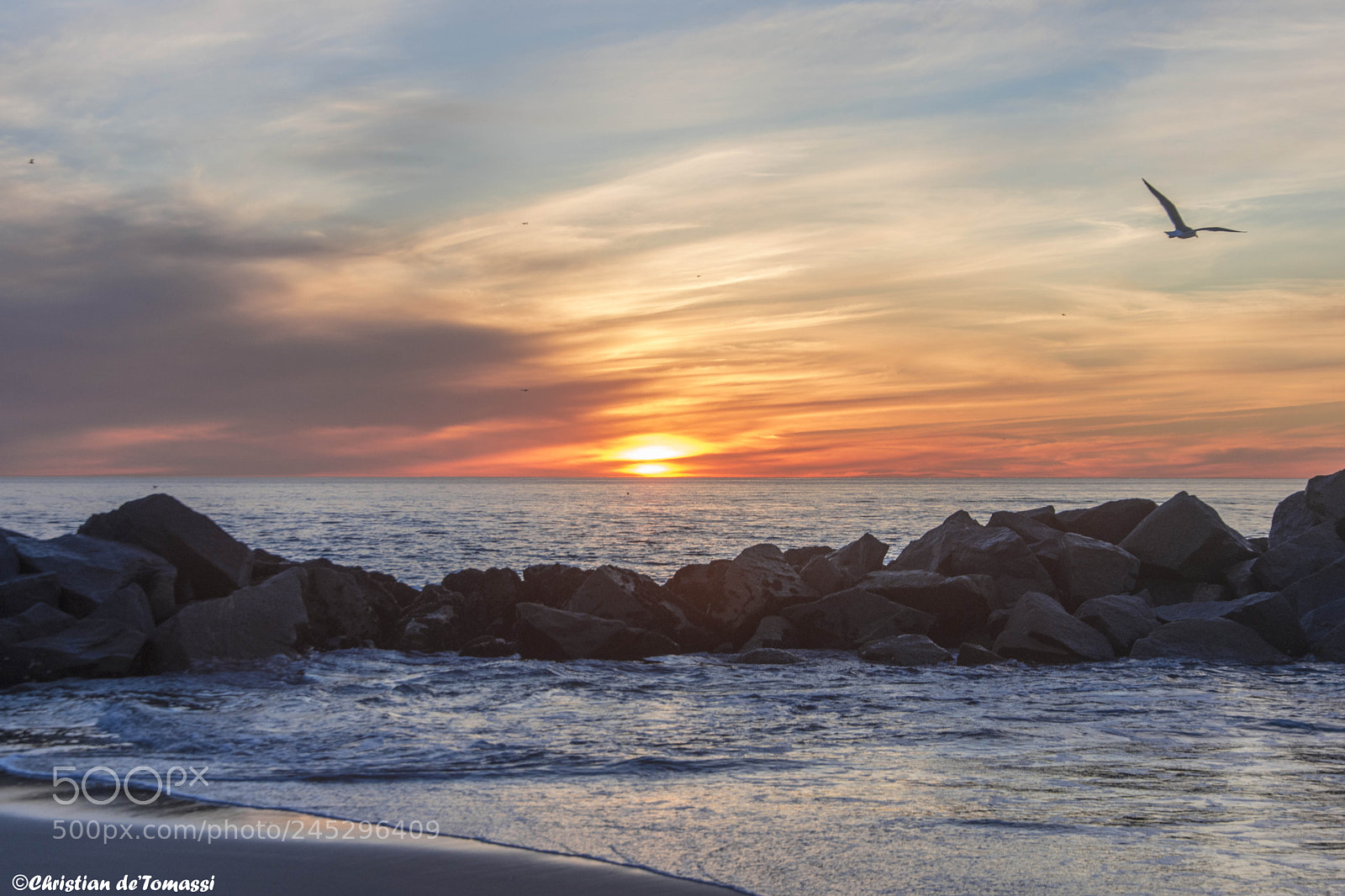 Nikon D7200 sample photo. Dtm photography