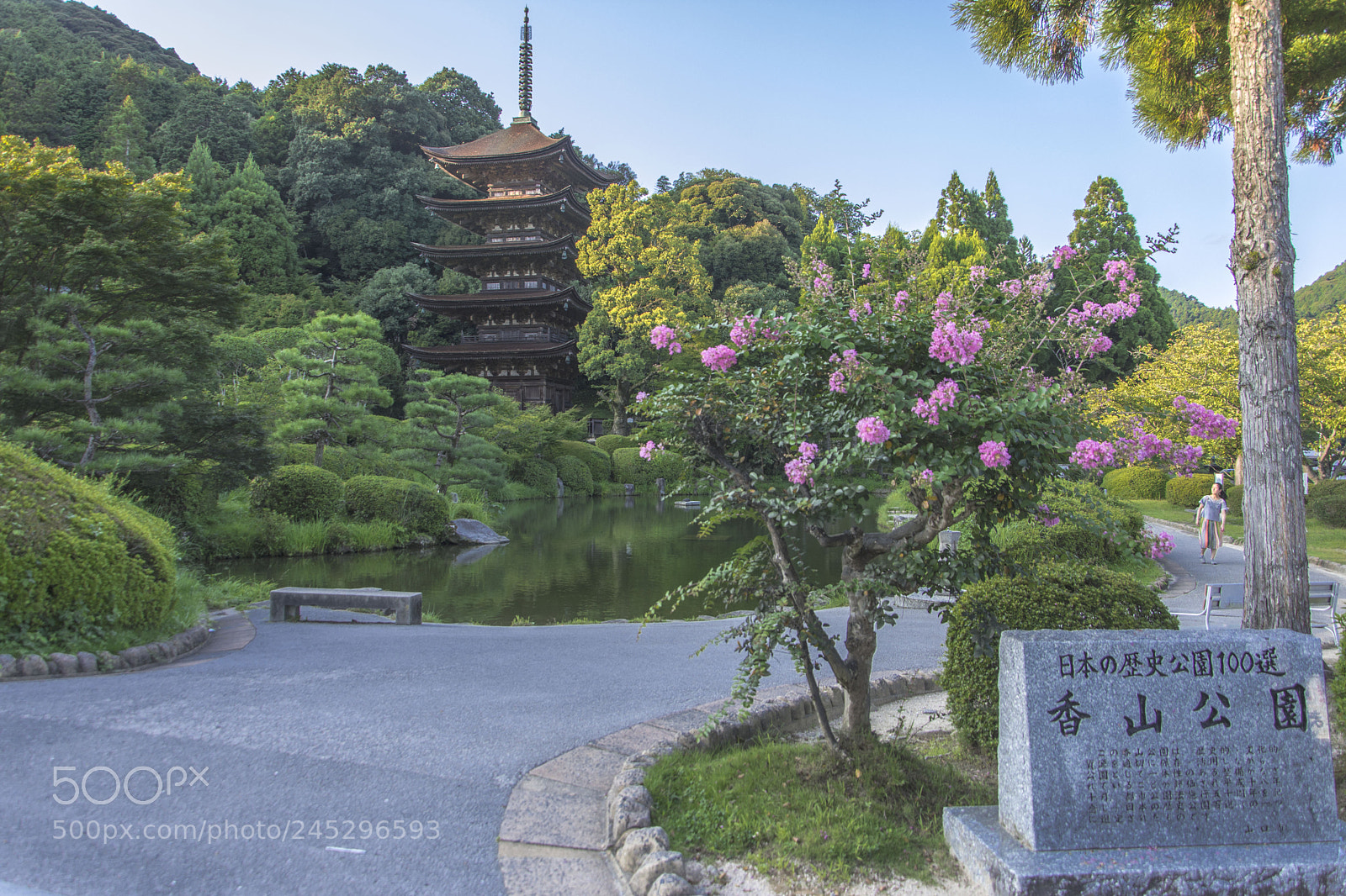 Nikon D7200 sample photo. Dtm photography