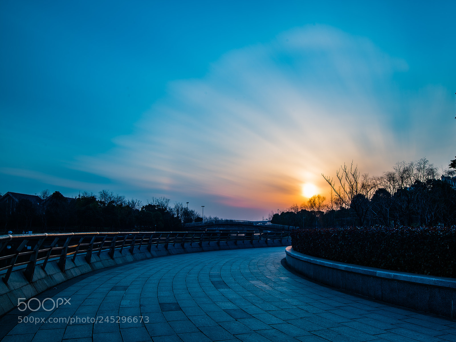 Nikon D810 sample photo. The way they come photography