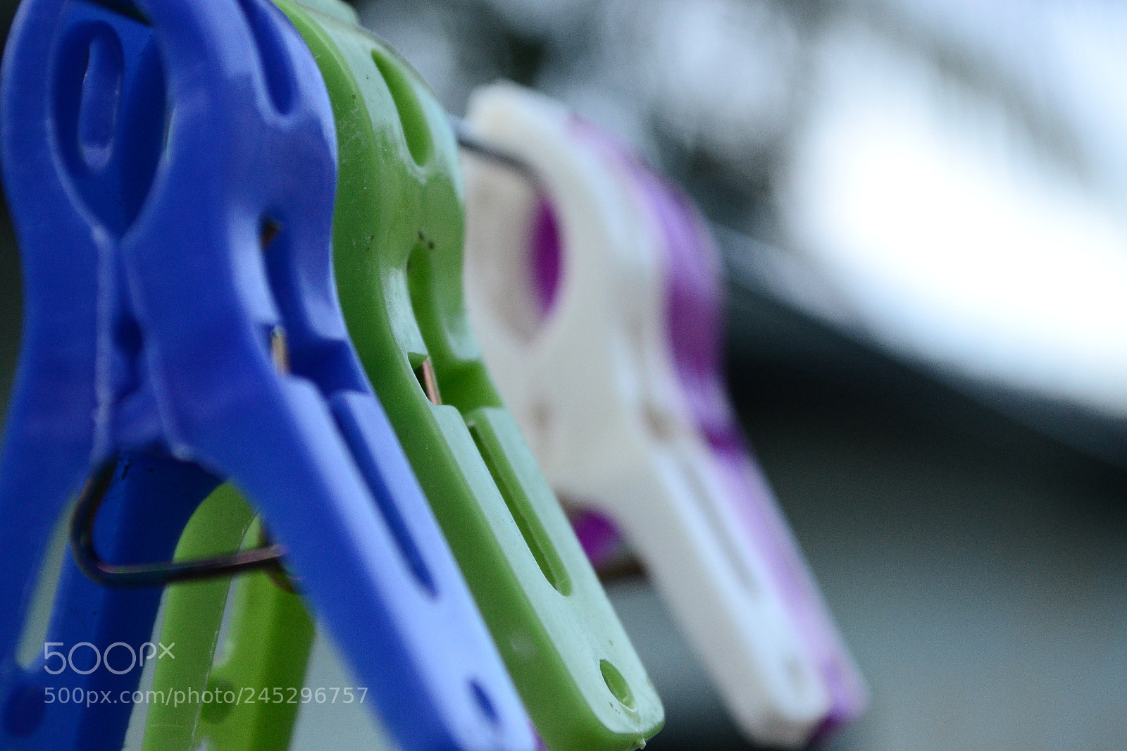 Nikon D3100 sample photo. Untitled photography