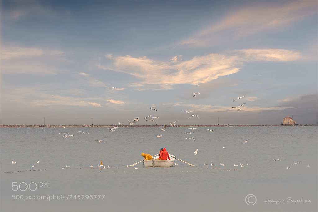 Nikon D800 sample photo. Pesca mar menor photography