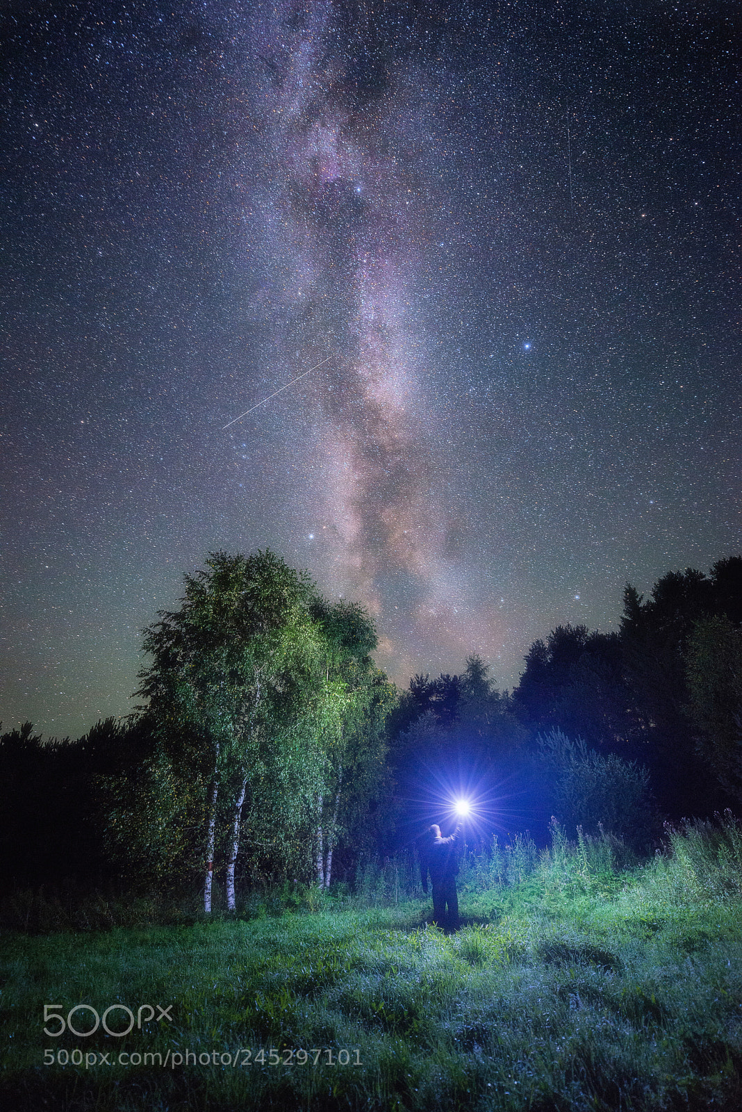 Nikon D610 sample photo. 840. alone in the photography
