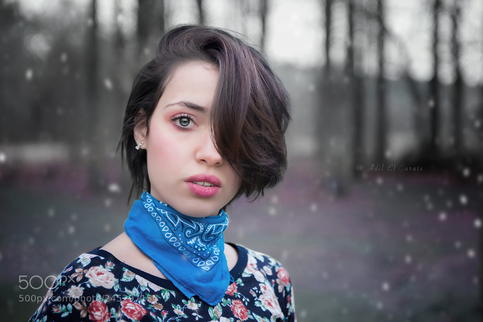 Nikon D800E sample photo. Blue eye photography