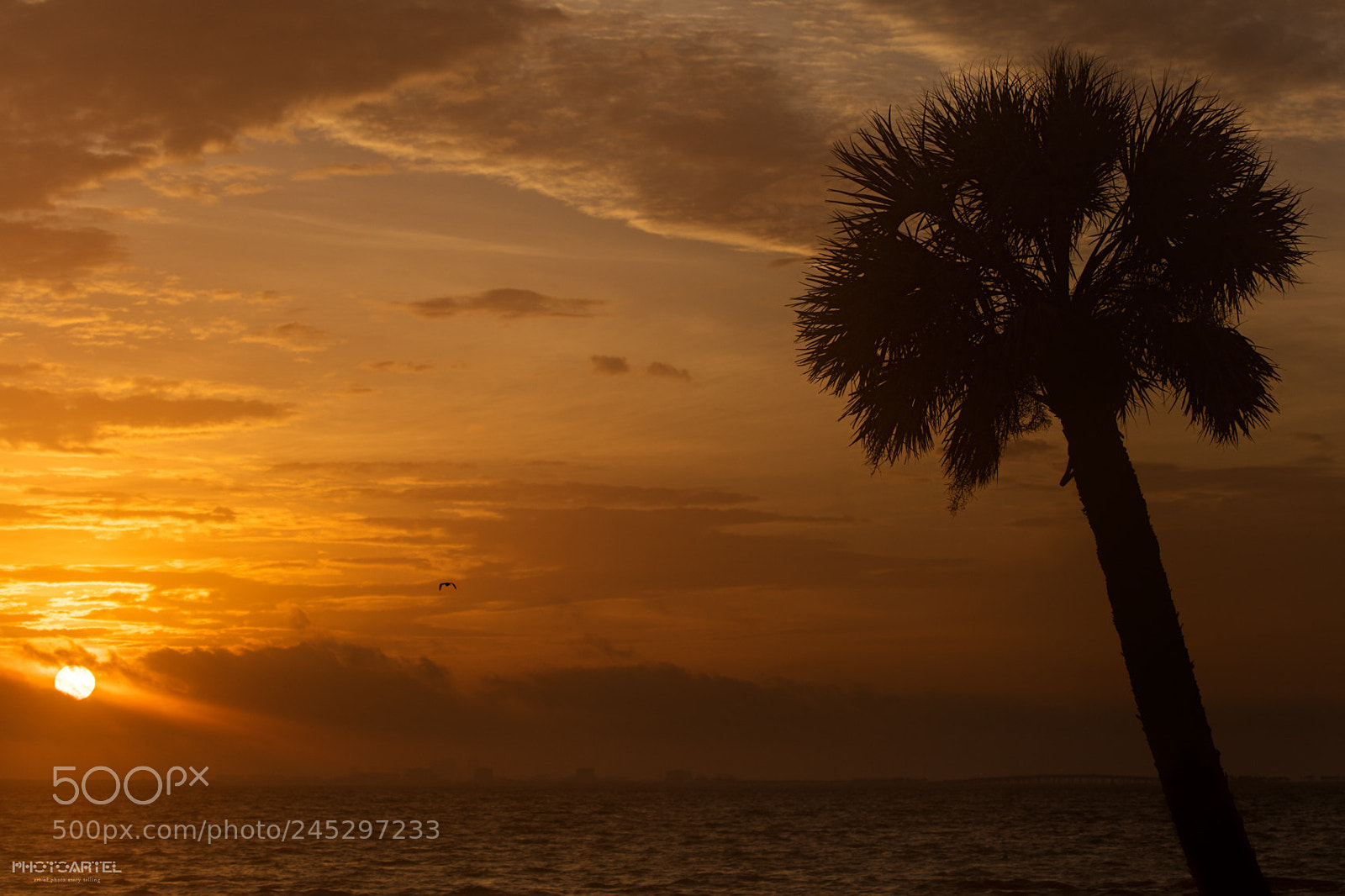 Canon EOS 5DS R sample photo. Stay warm photography