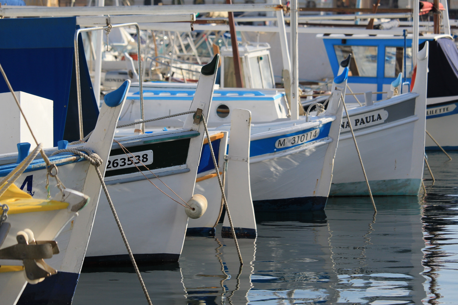 Canon EF-S 55-250mm F4-5.6 IS STM sample photo. Aqua colors photography