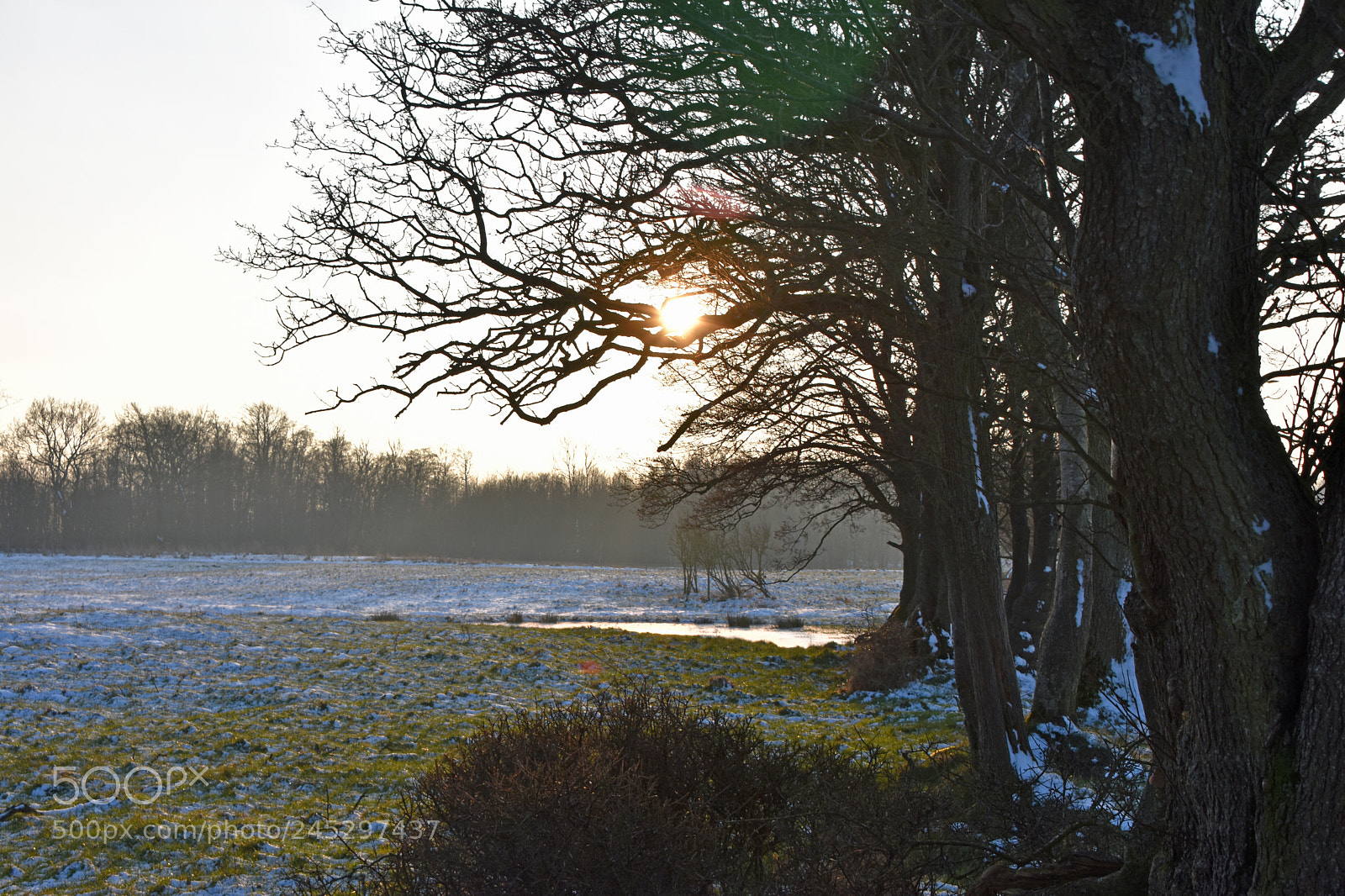 Nikon D3400 sample photo. A touch of winter photography