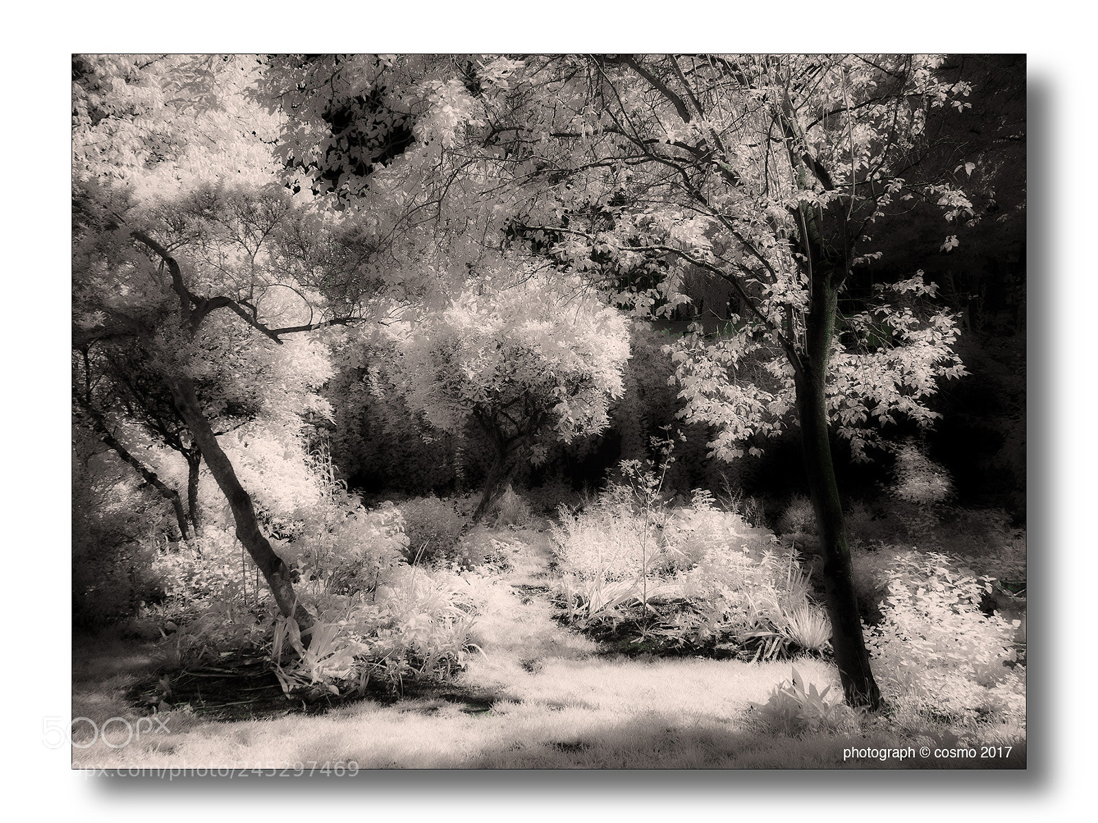 Panasonic Lumix DMC-G5 sample photo. Culpepper gardens photography