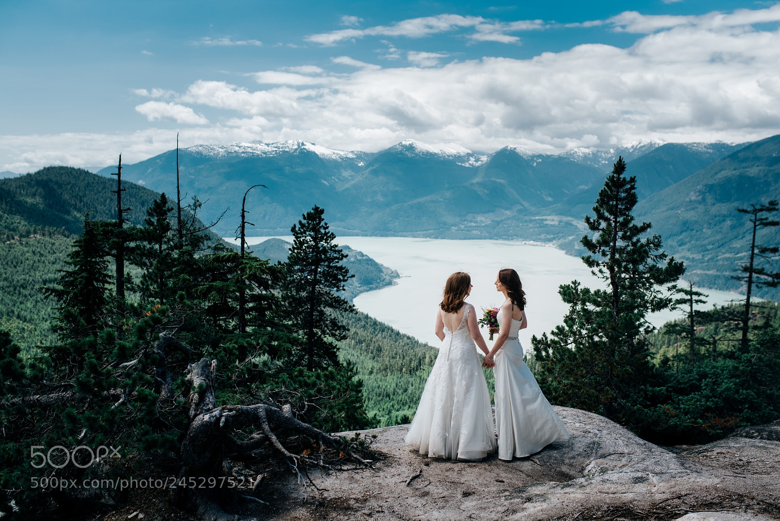 Nikon D810 sample photo. Untitled photography