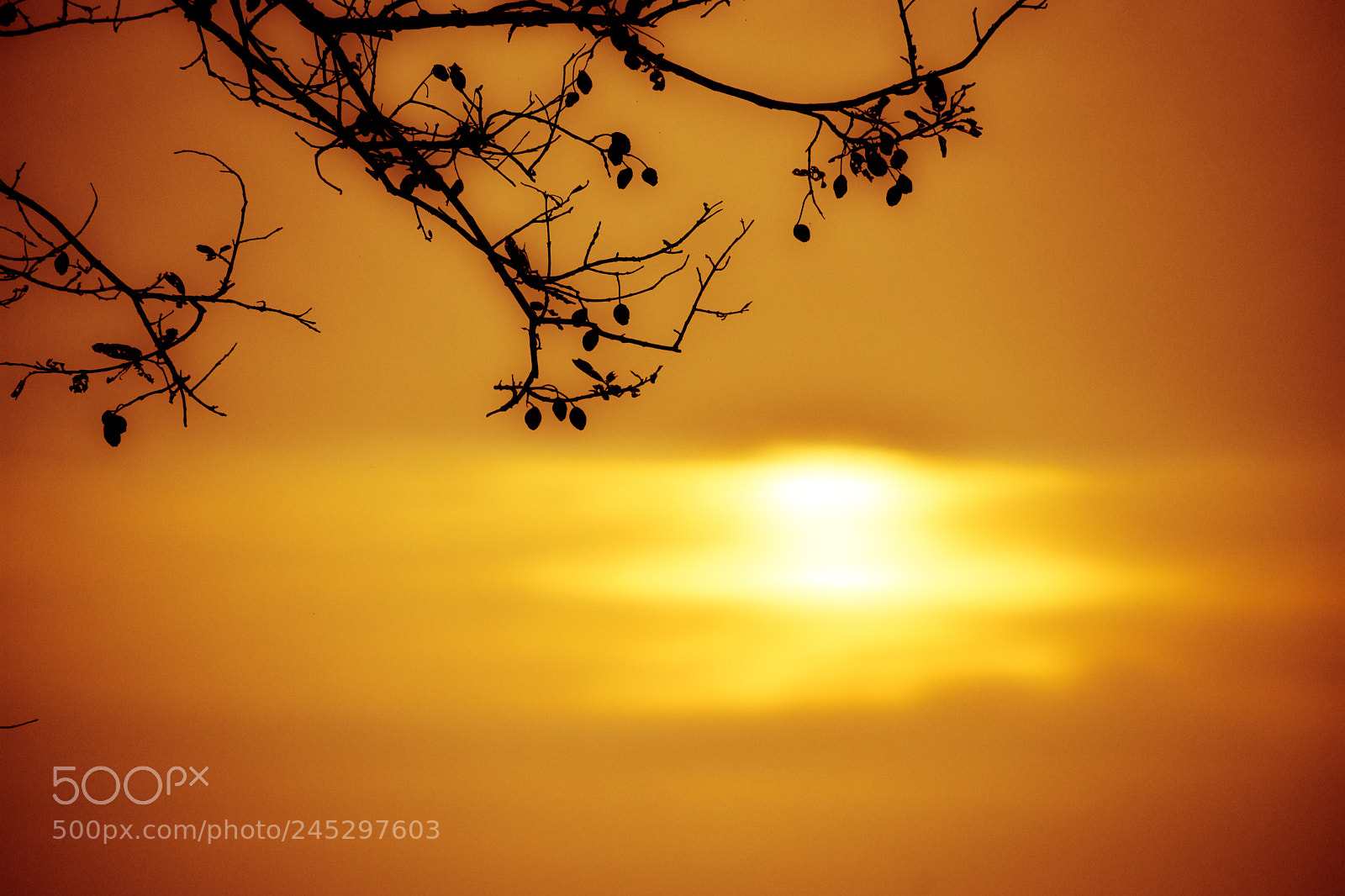 Nikon D3400 sample photo. Golden hours... photography