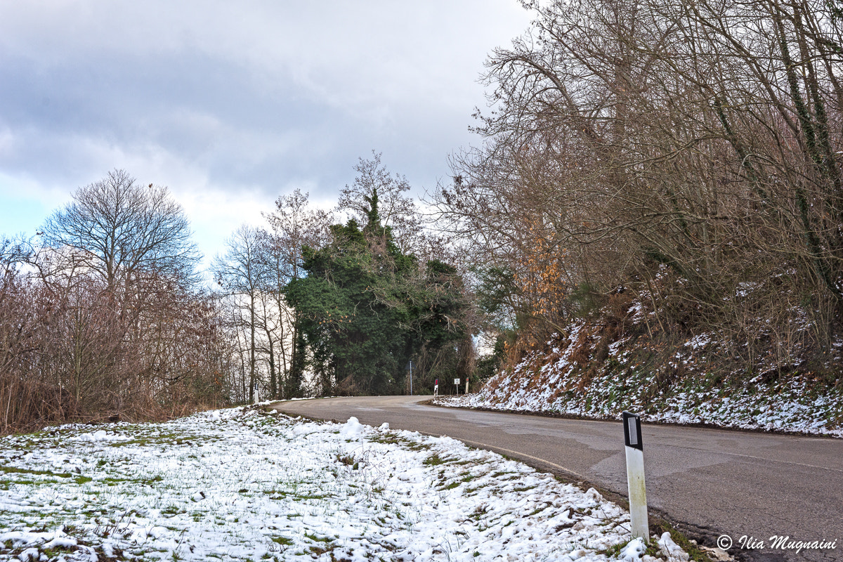 Nikon D7200 sample photo. The road in the photography