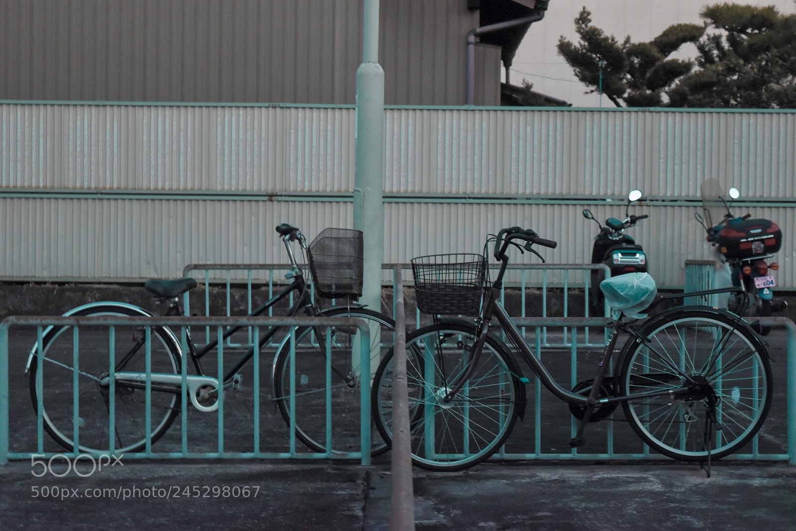 Nikon D5500 sample photo. Couples. photography