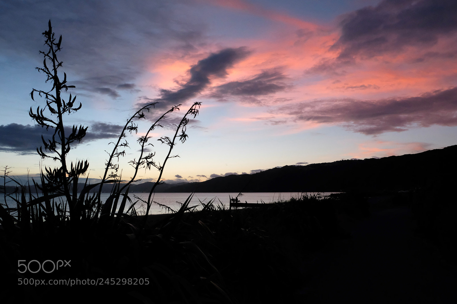 Fujifilm X-T2 sample photo. Sunset at petone beach photography