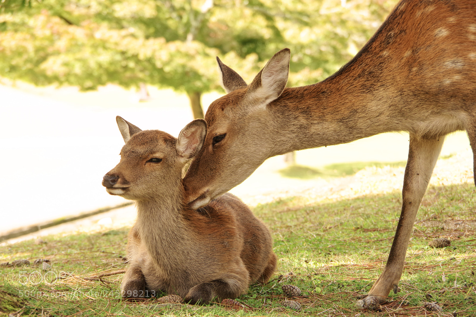 Pentax K-70 sample photo. Parent and child photography