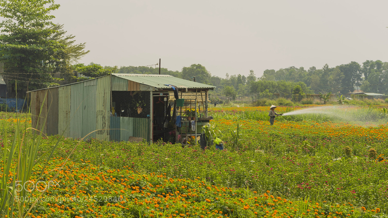 Sony a7 II sample photo. Farming photography