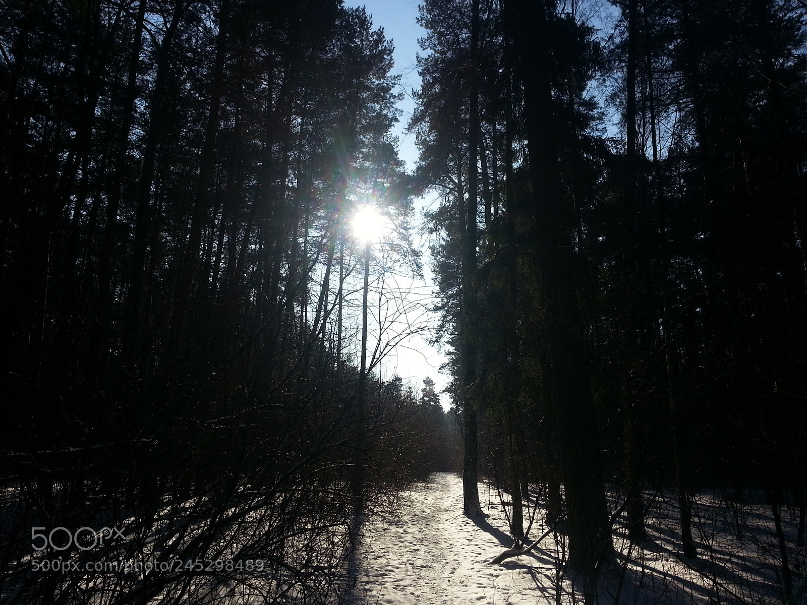 Samsung Galaxy Note2 sample photo. Sunny day photography