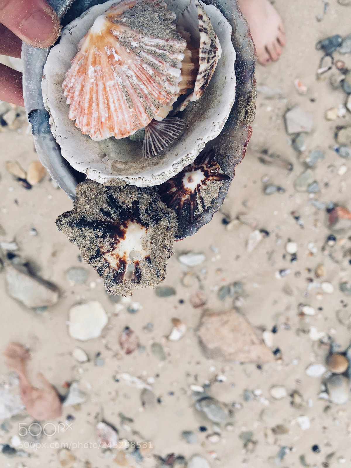 Apple iPhone 6 sample photo. Port elizebeth ❤️ photography