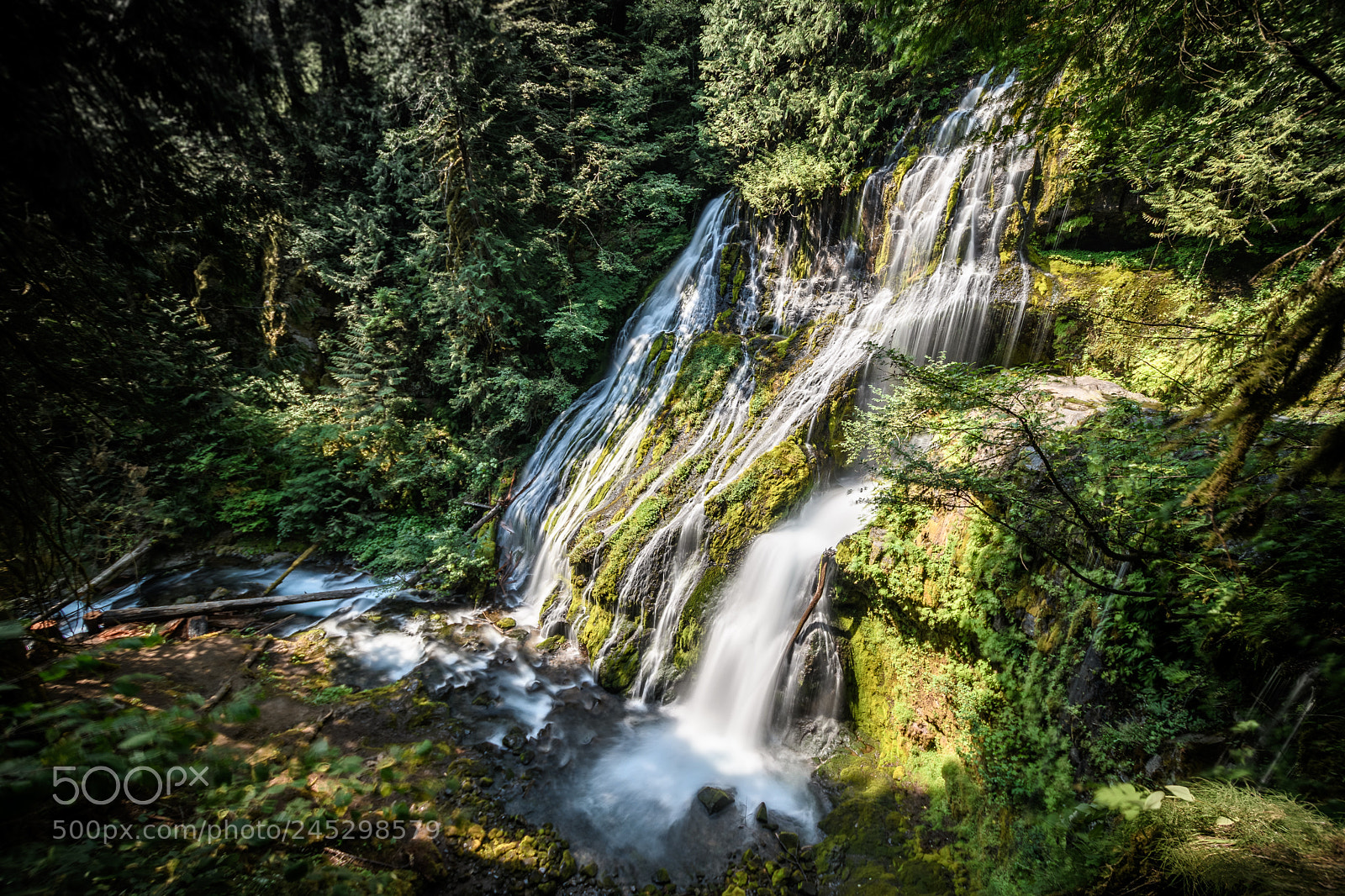 Nikon D7500 sample photo. Hidden wonder photography