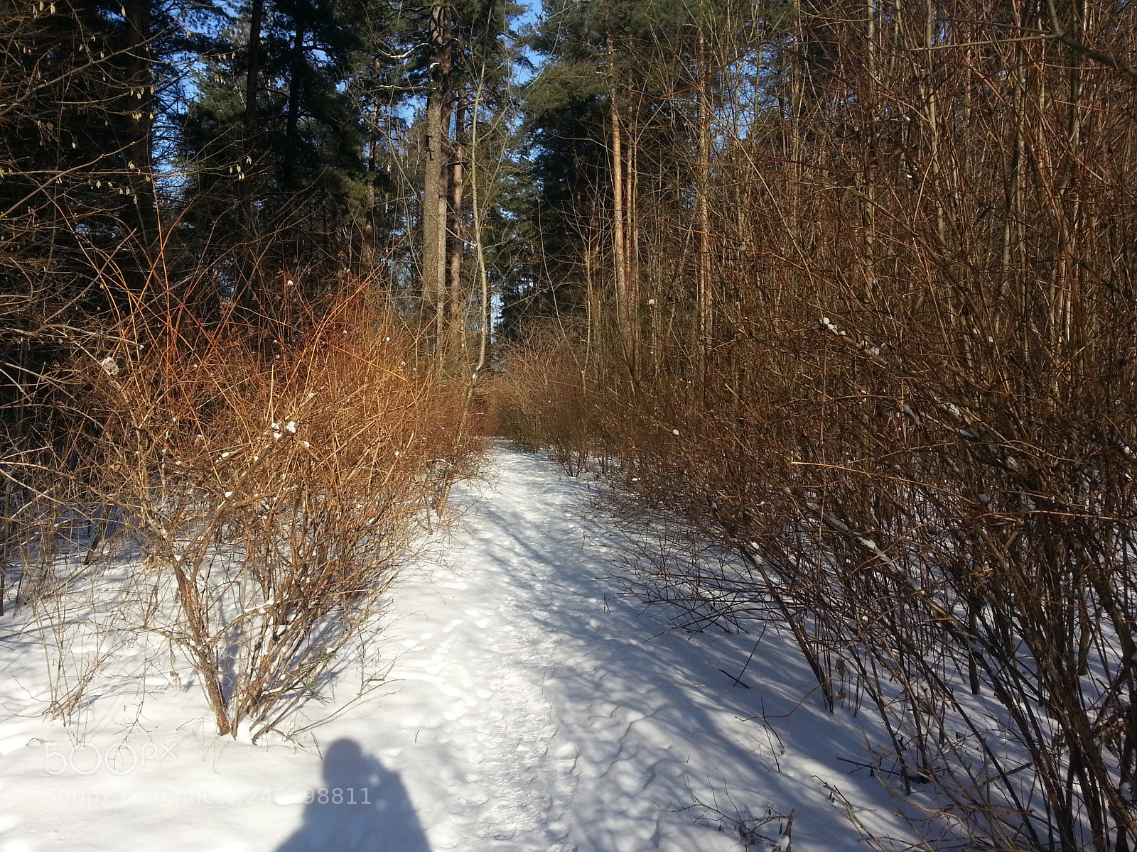 Samsung Galaxy Note2 sample photo. Winter in minsk photography