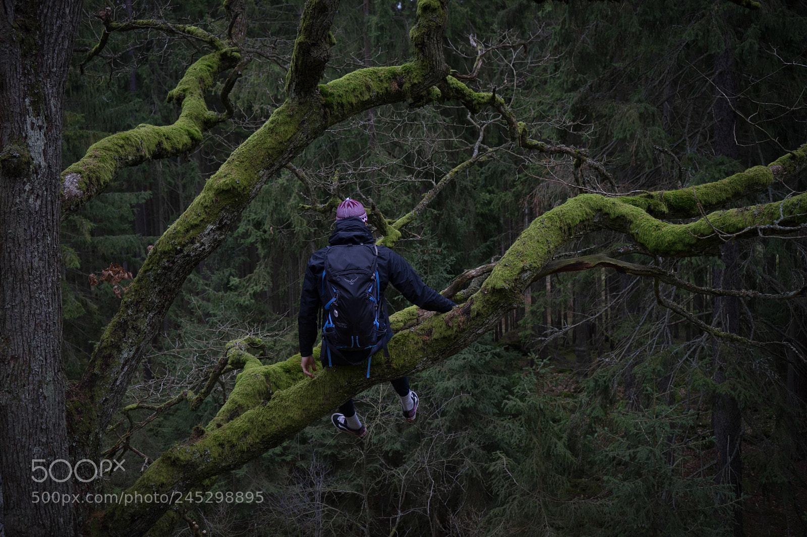 Sony a7 II sample photo. Trip with friend brdy photography