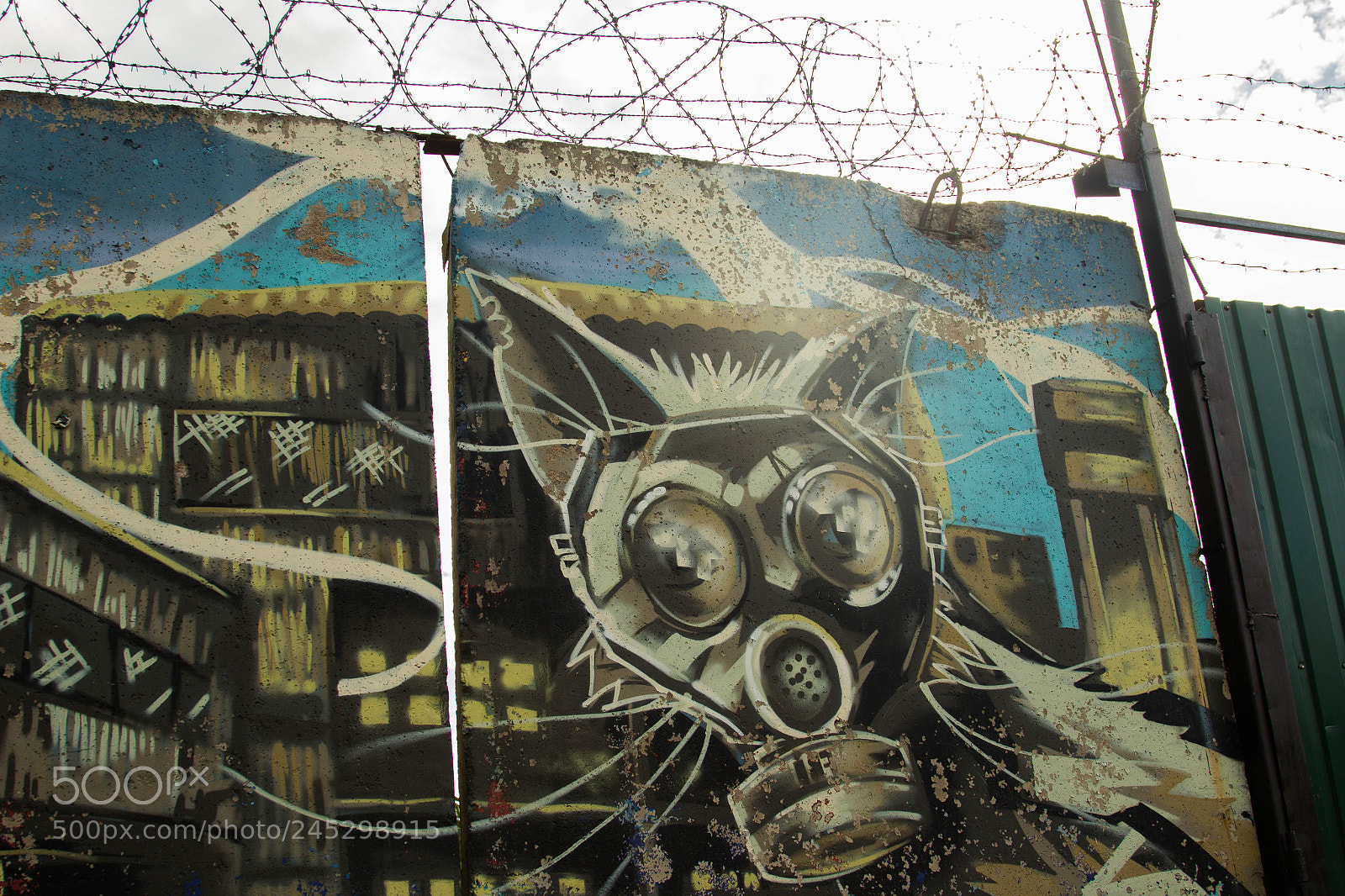 Canon EOS 60D sample photo. Graffity photography