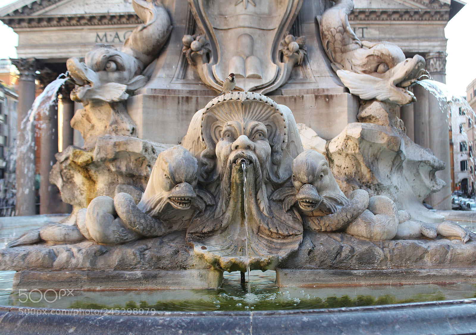 Canon EOS 550D (EOS Rebel T2i / EOS Kiss X4) sample photo. Ancient fountain of piazza photography