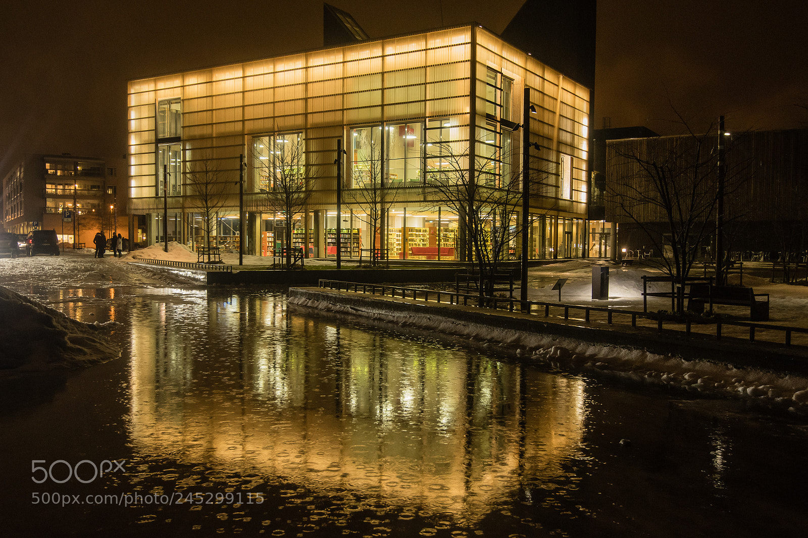Nikon D500 sample photo. Rainy night photography