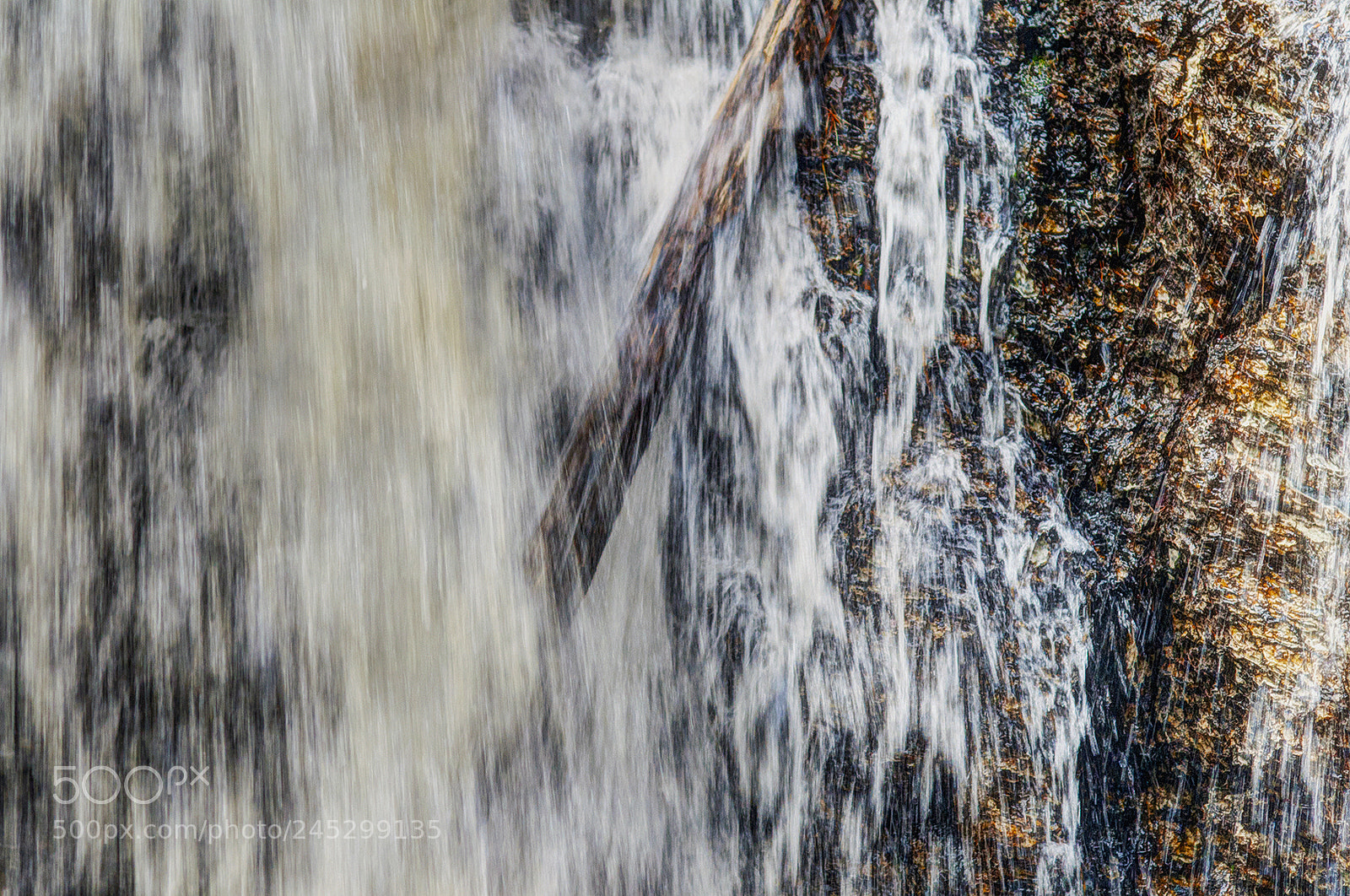 Nikon D300 sample photo. Fall photography