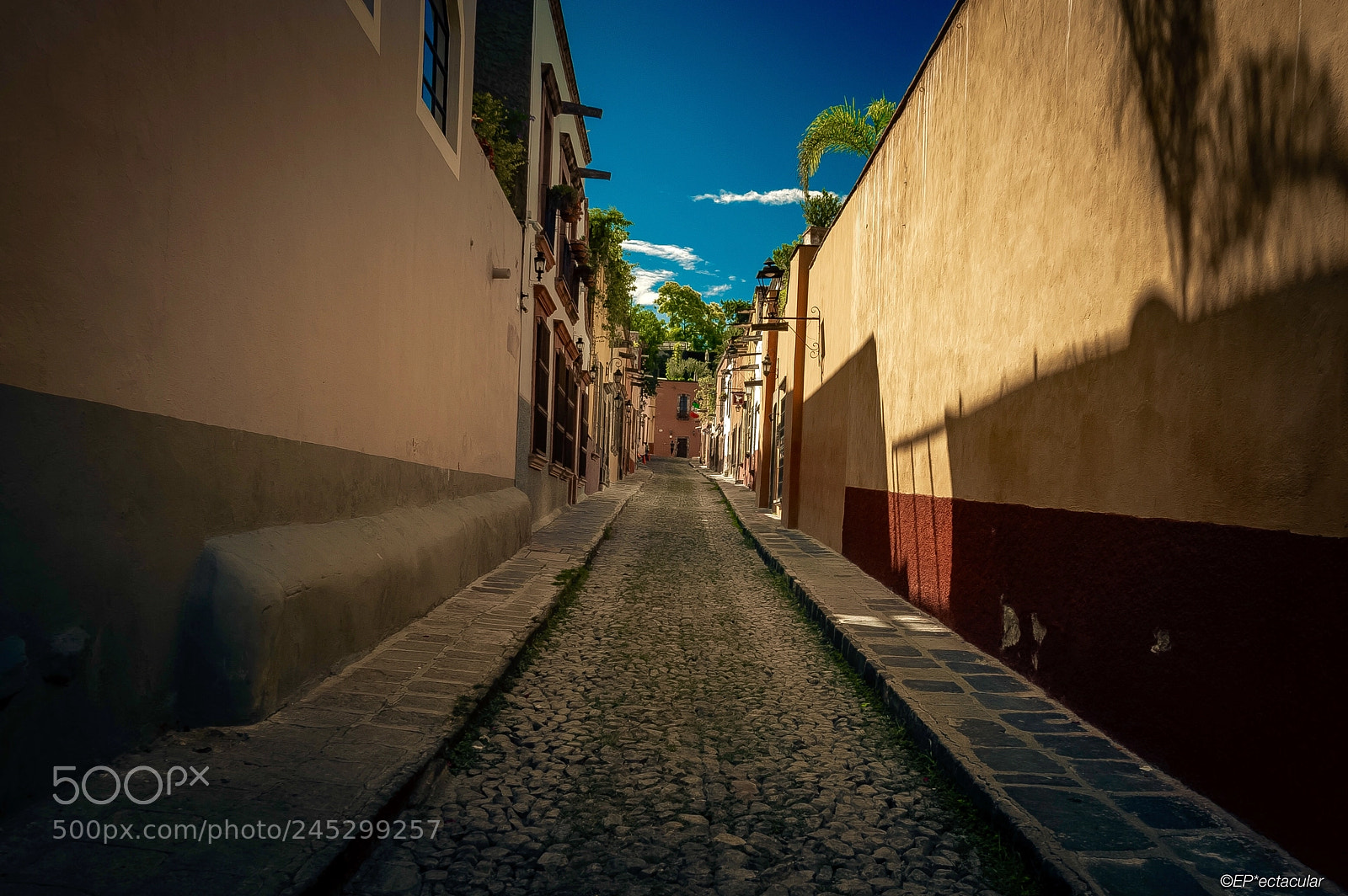 Nikon D3200 sample photo. San miguel de allende photography