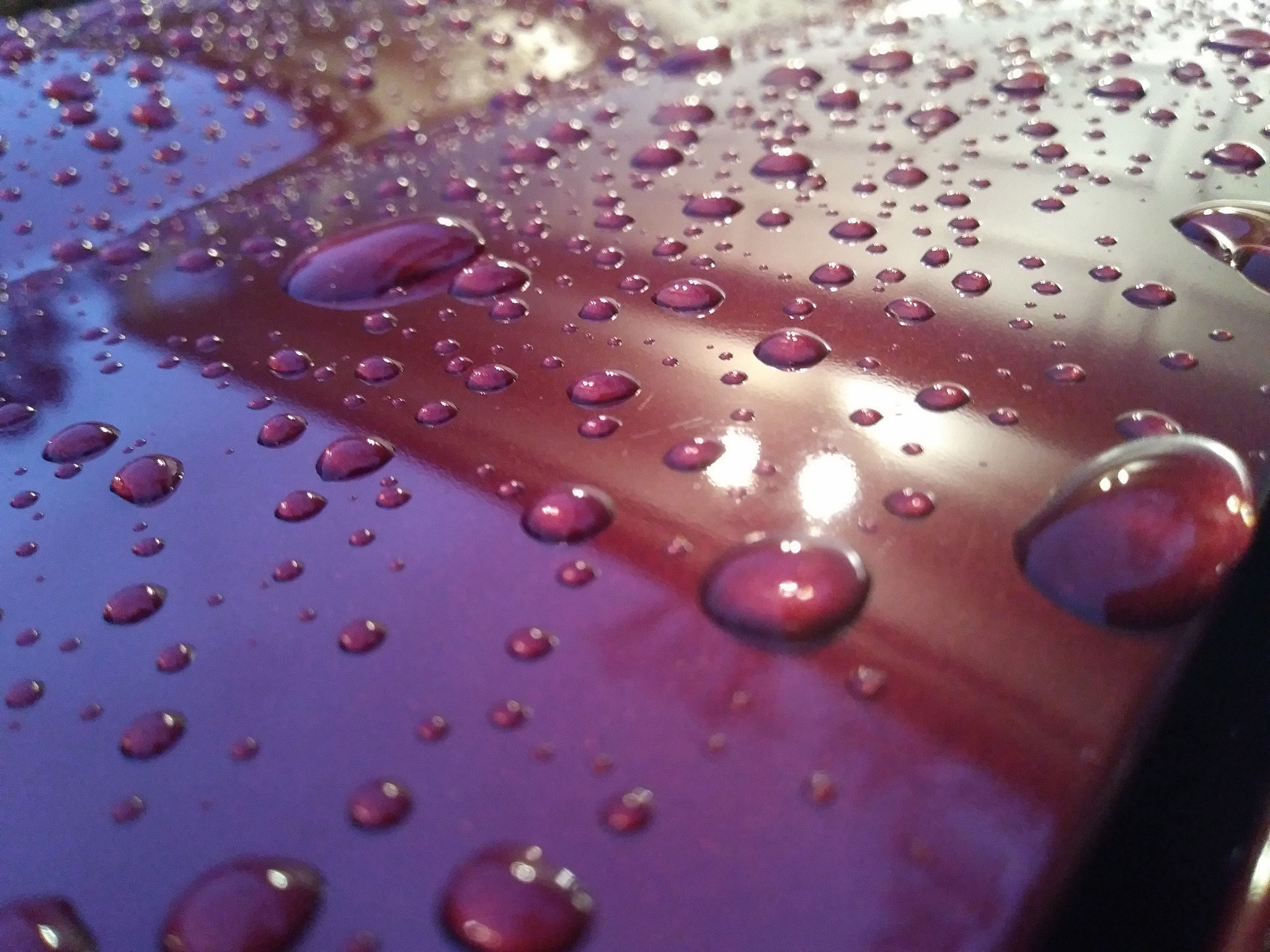 LG K20 V sample photo. The morning rain photography