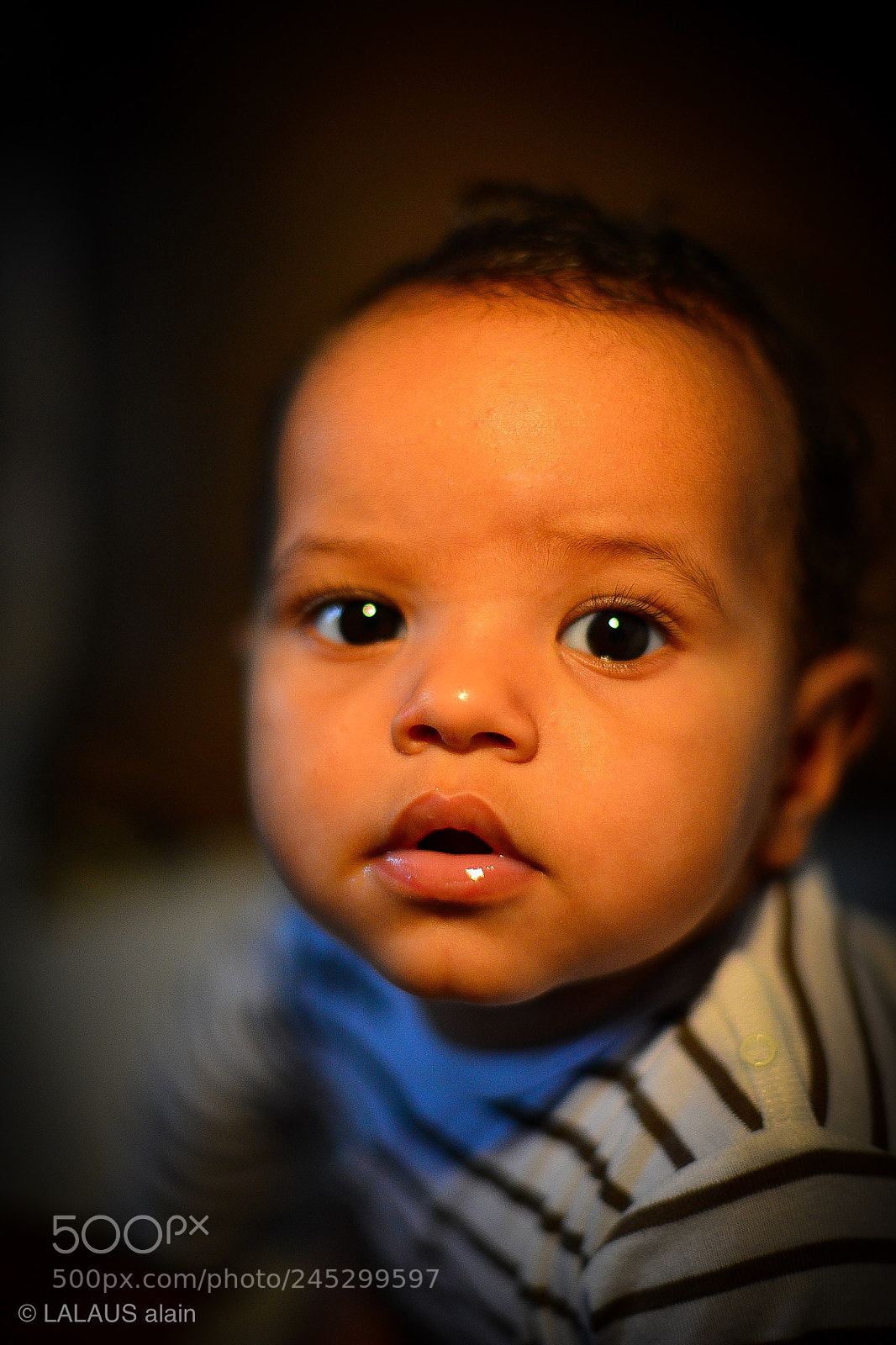 Nikon D600 sample photo. 49 jessy photography