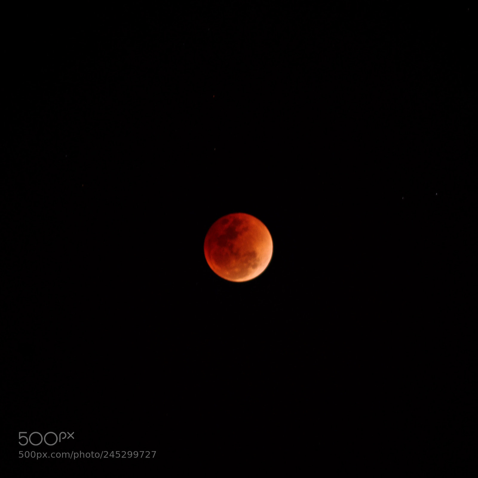 Nikon D5000 sample photo. Lunar eclipse 2018 photography