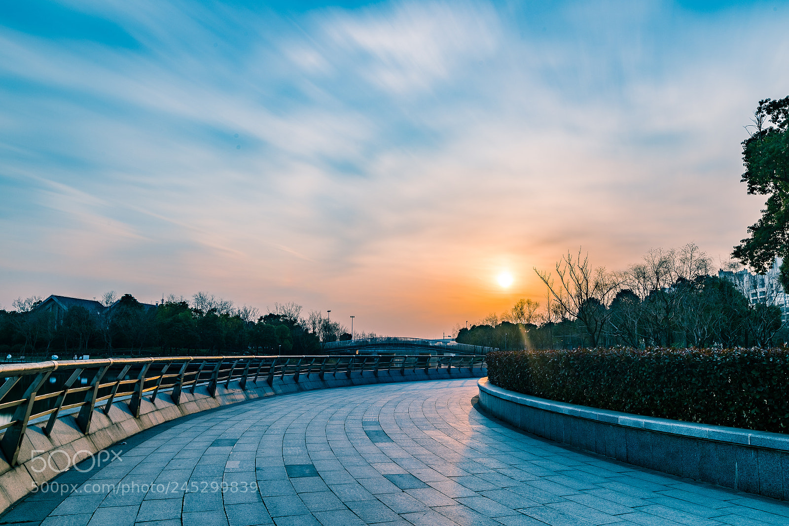 Nikon D810 sample photo. The way they come photography
