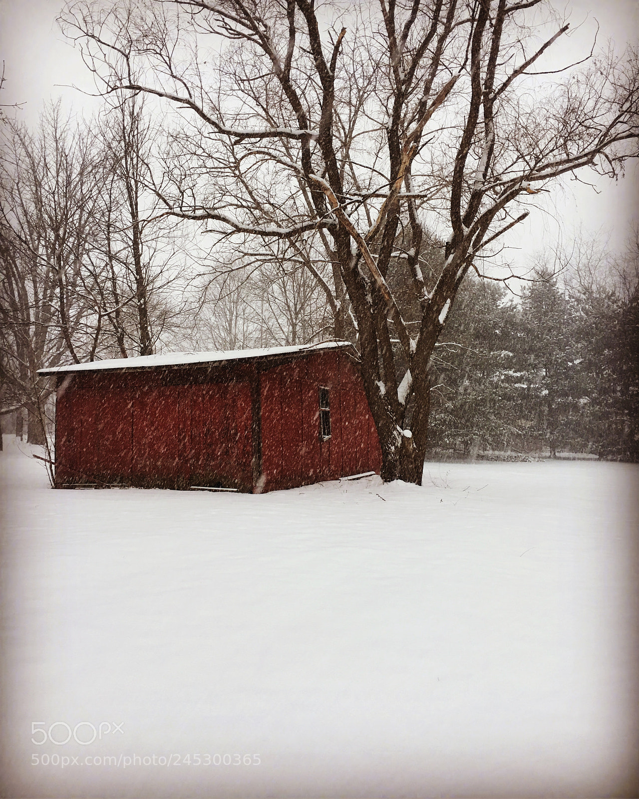Apple iPhone 6s Plus sample photo. Snowing photography