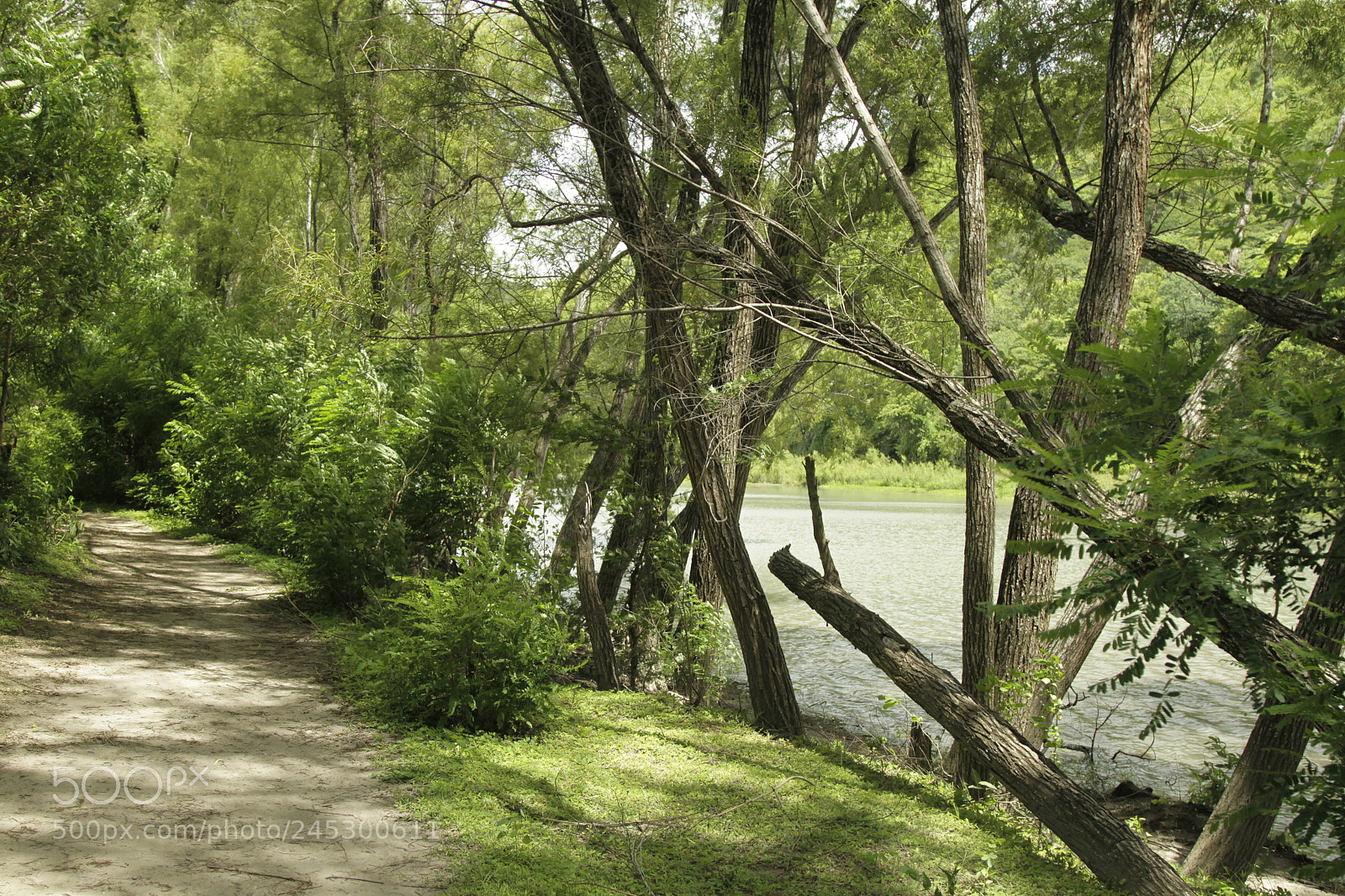 Canon EOS 7D + Canon EF 24-105mm F4L IS USM sample photo. Cañon de somoto photography