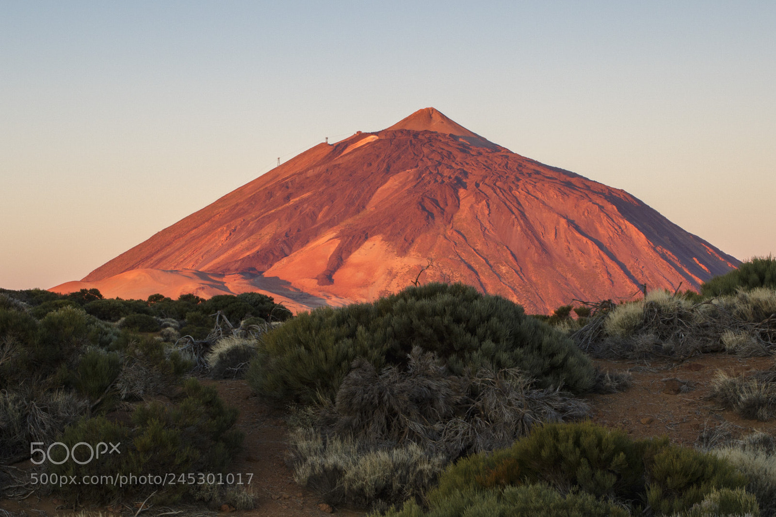 Canon EOS 7D Mark II sample photo. Morning glow photography