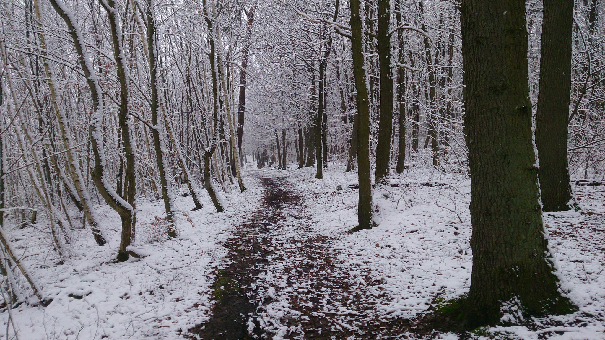 Sony Xperia Z sample photo