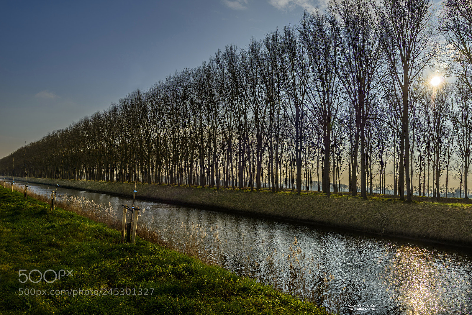 Nikon D800 sample photo. View of the canal photography