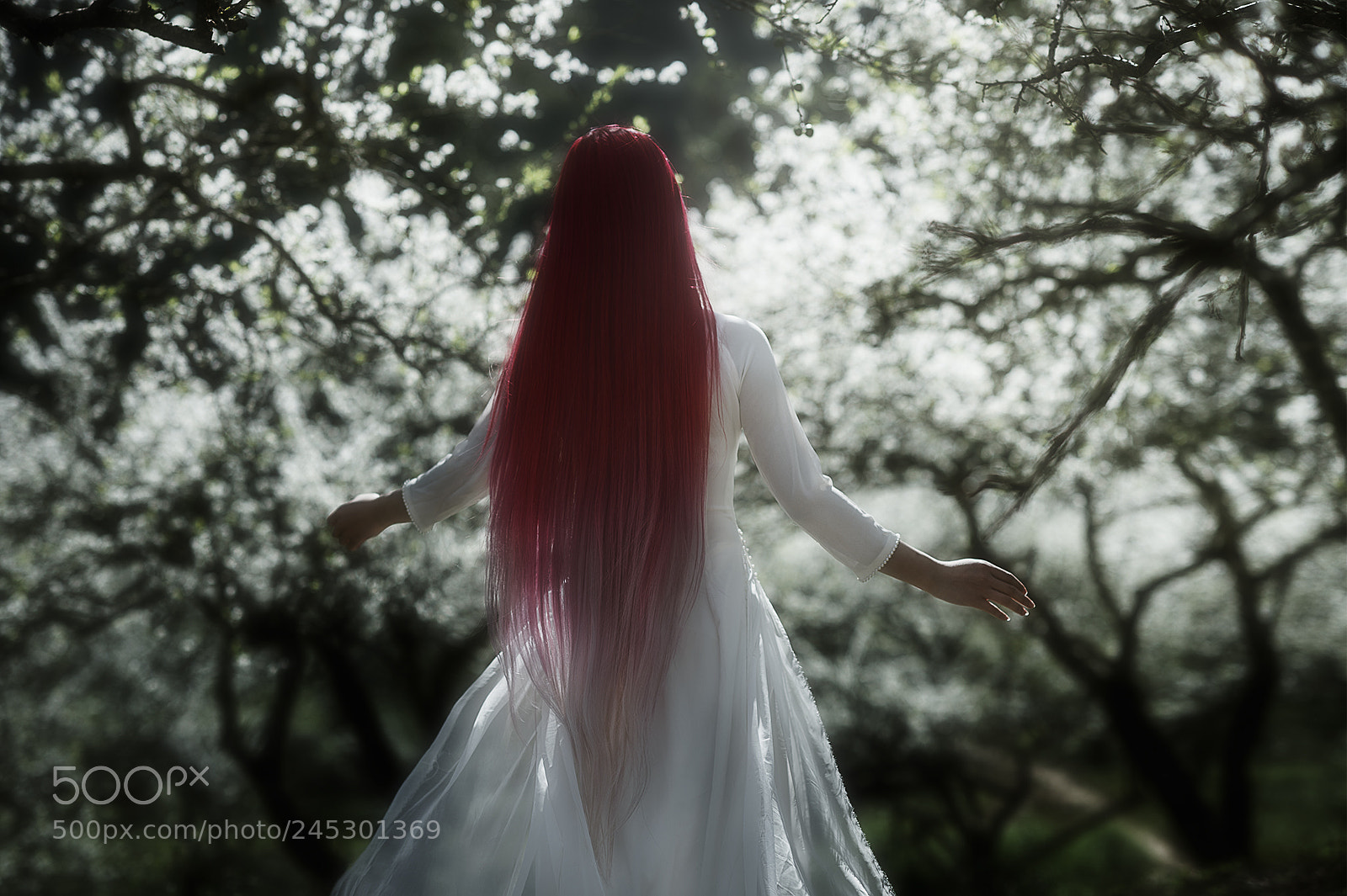 Nikon Df sample photo. She is the sun photography