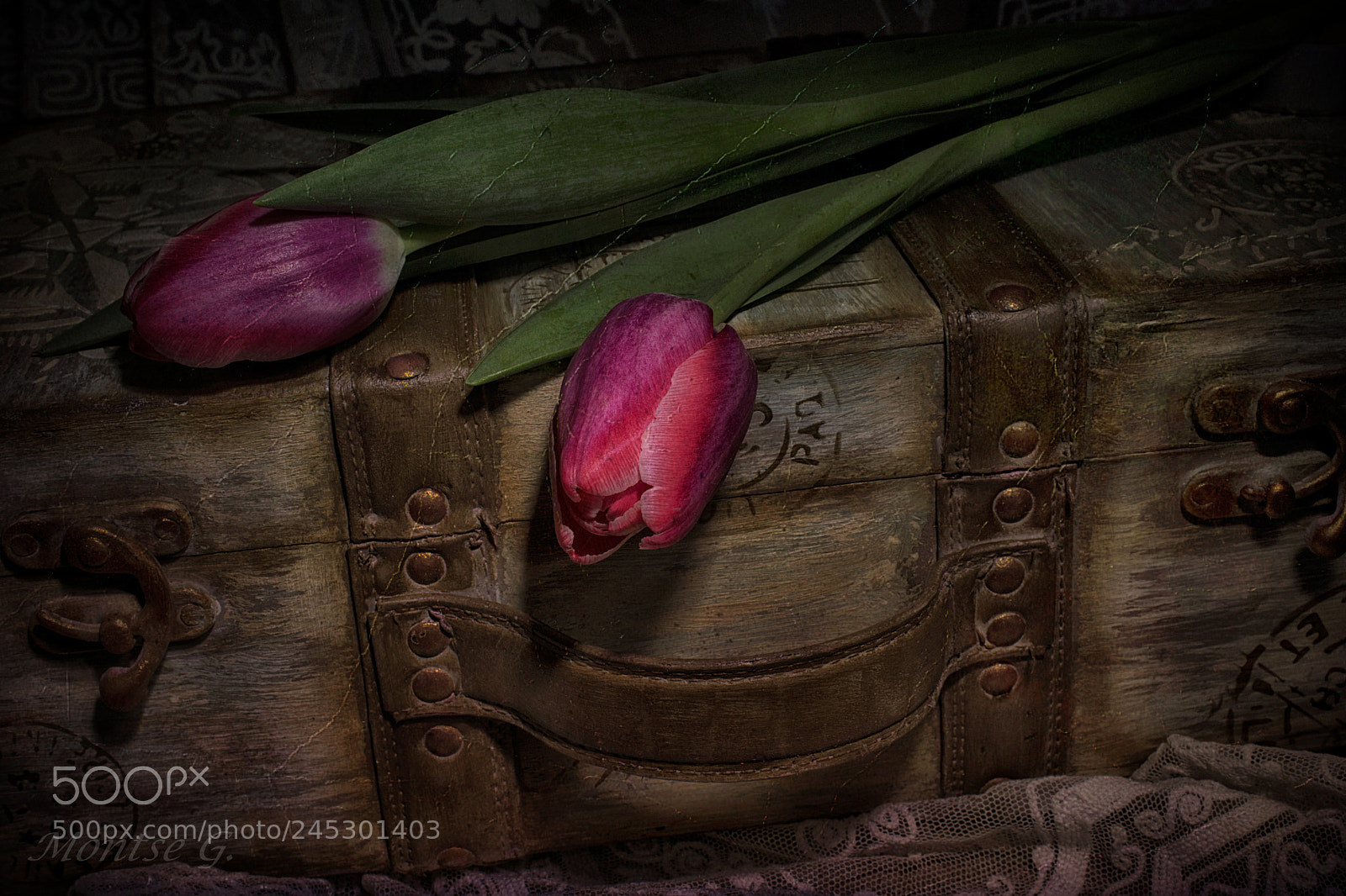 Canon EOS 77D (EOS 9000D / EOS 770D) sample photo. Tulips photography