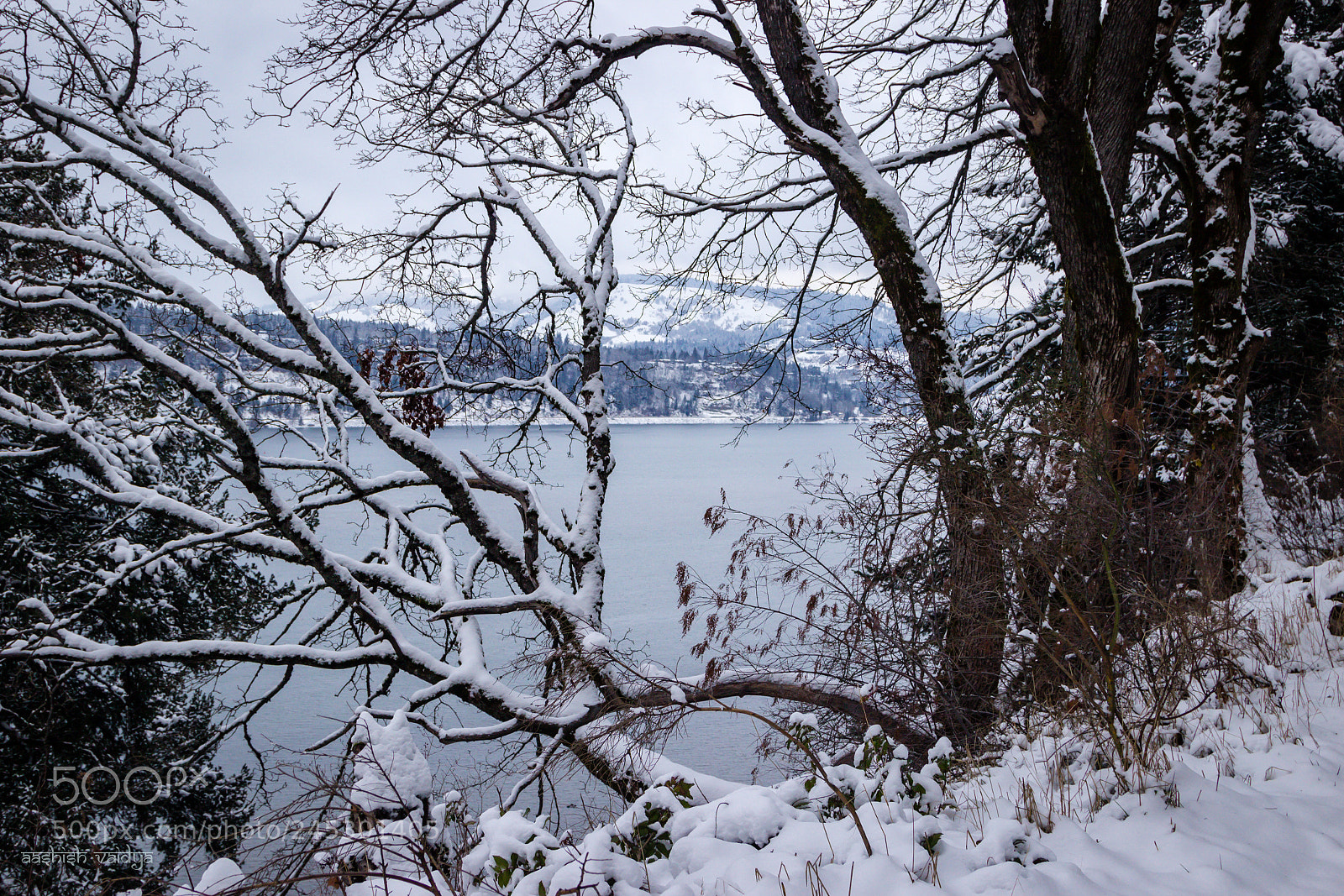 Canon EOS 600D (Rebel EOS T3i / EOS Kiss X5) sample photo. Columbia river near hood photography