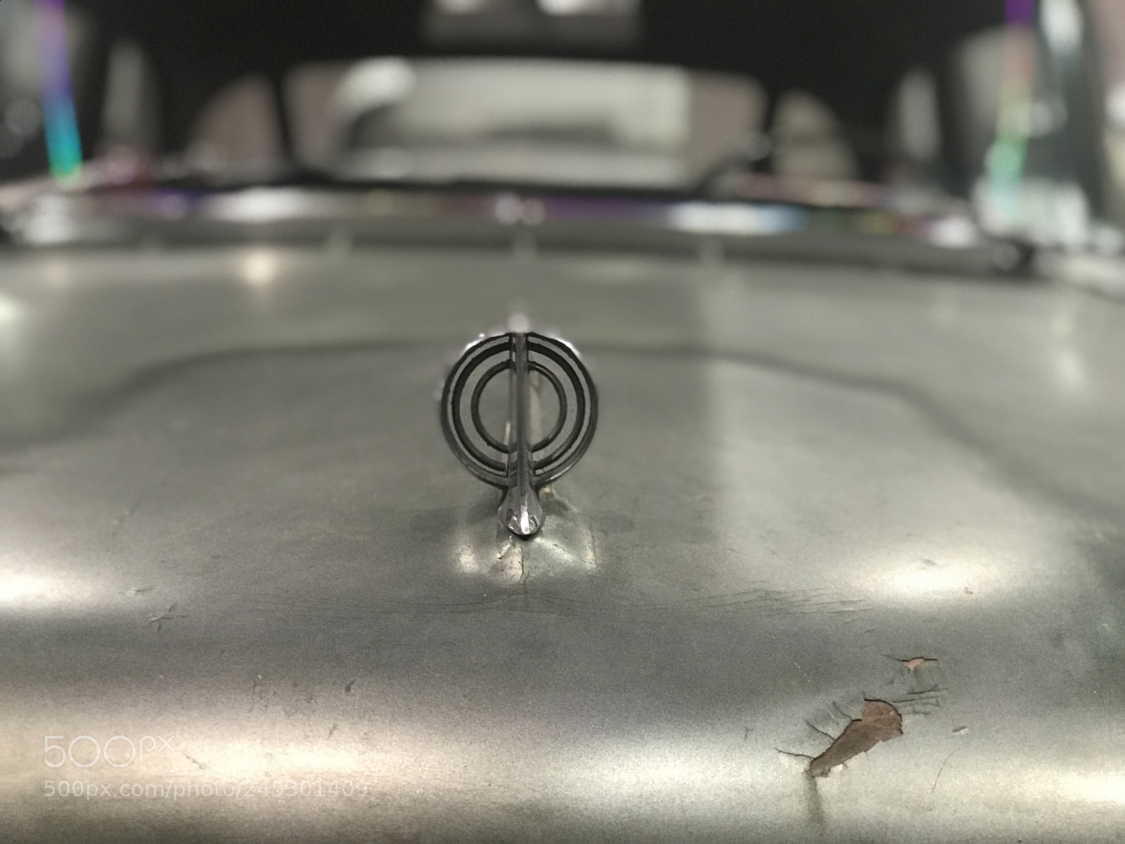 Apple iPhone 7 Plus sample photo. Untitled photography