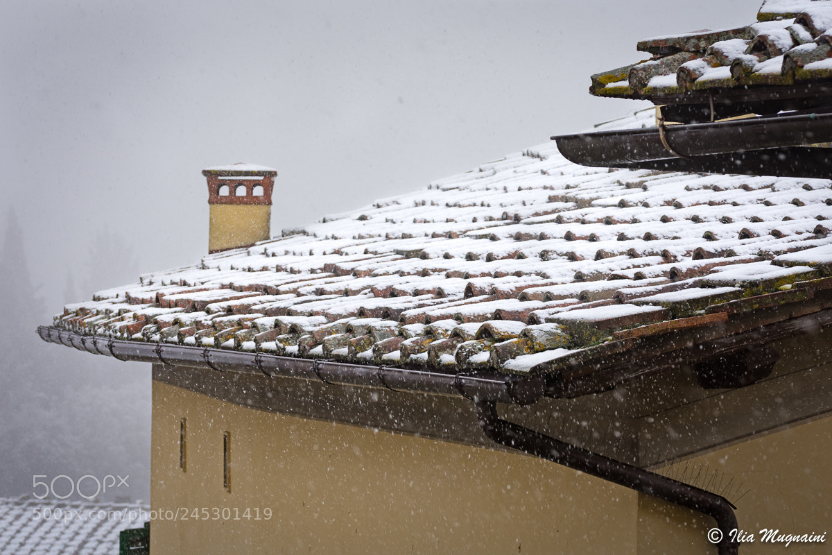 Nikon D7200 sample photo. Snow roofs 2 photography