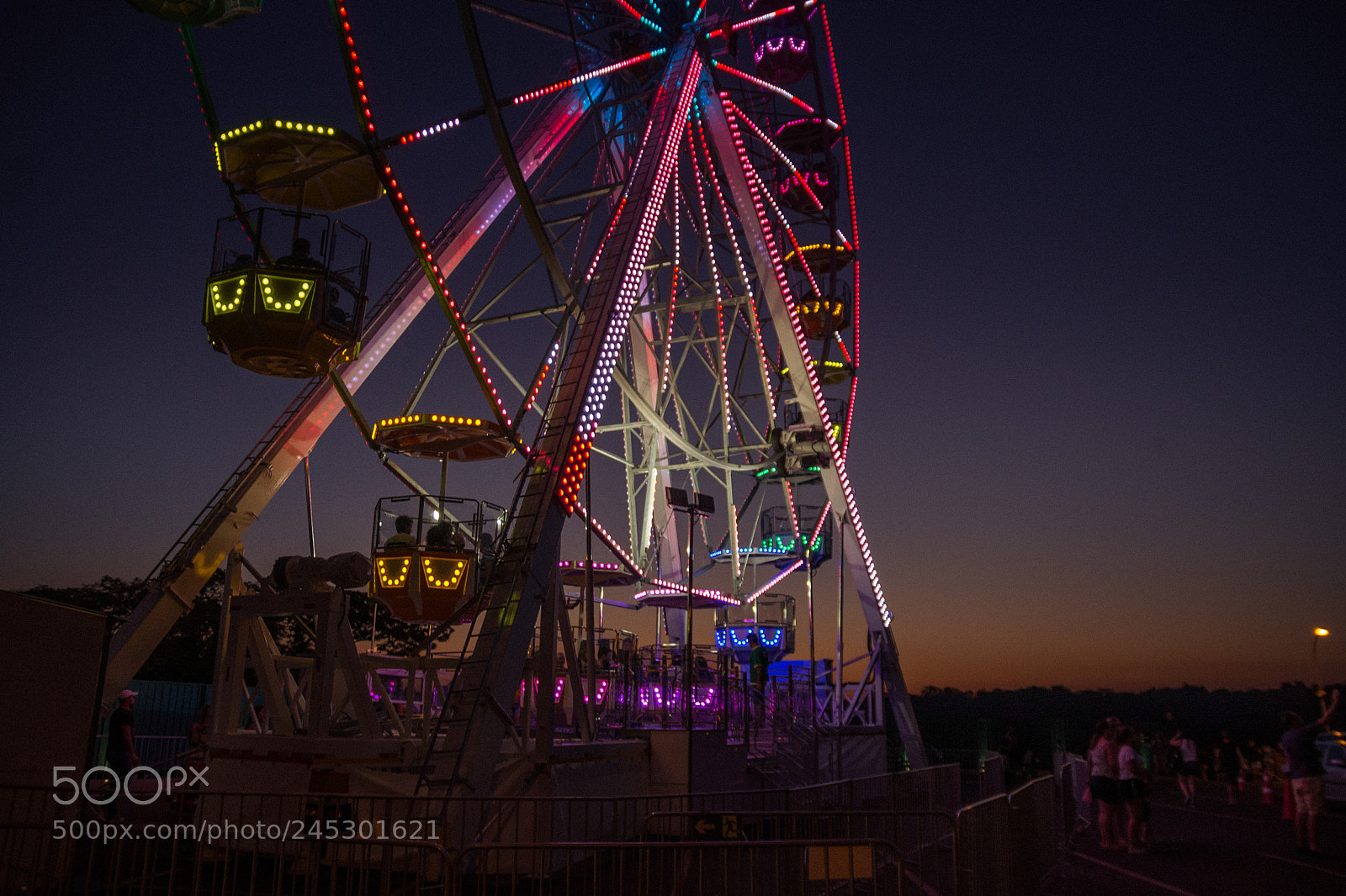 Nikon D610 sample photo. Untitled photography