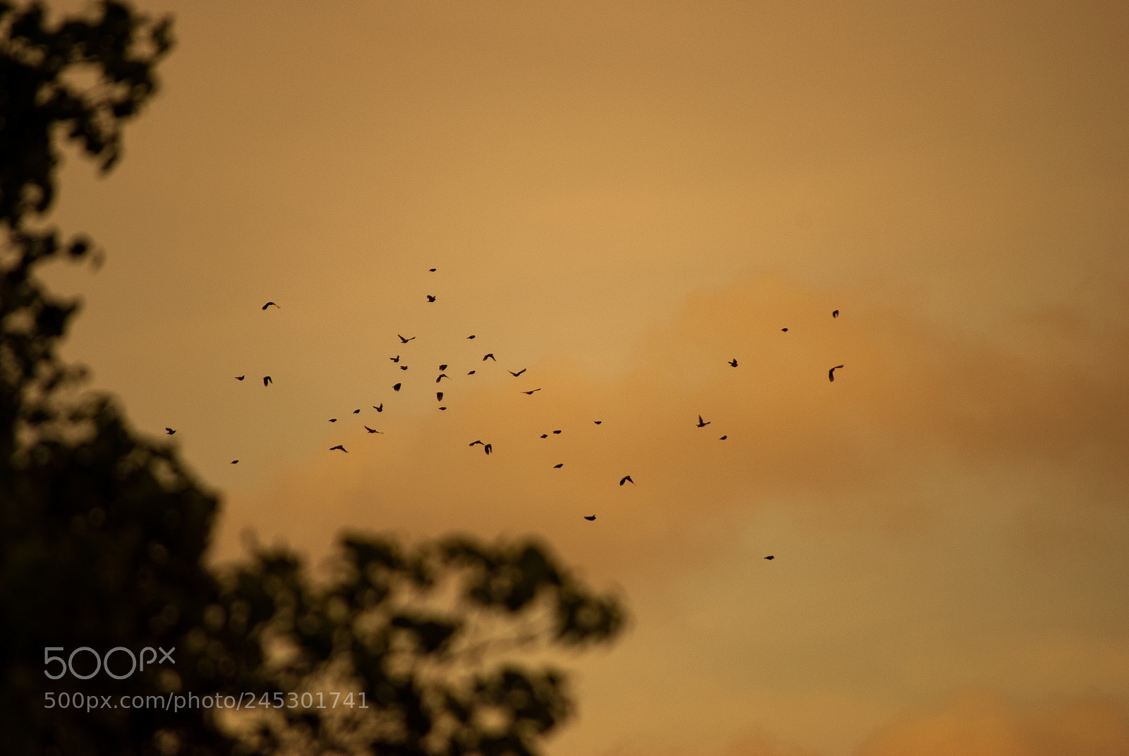 Nikon D3000 sample photo. Untitled photography