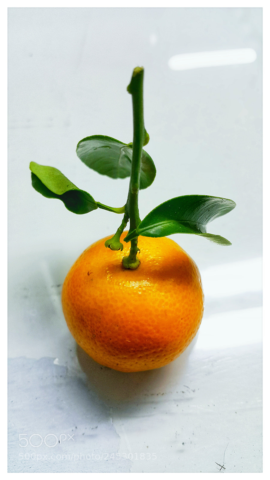 Samsung Galaxy Note4 sample photo. Untitled photography