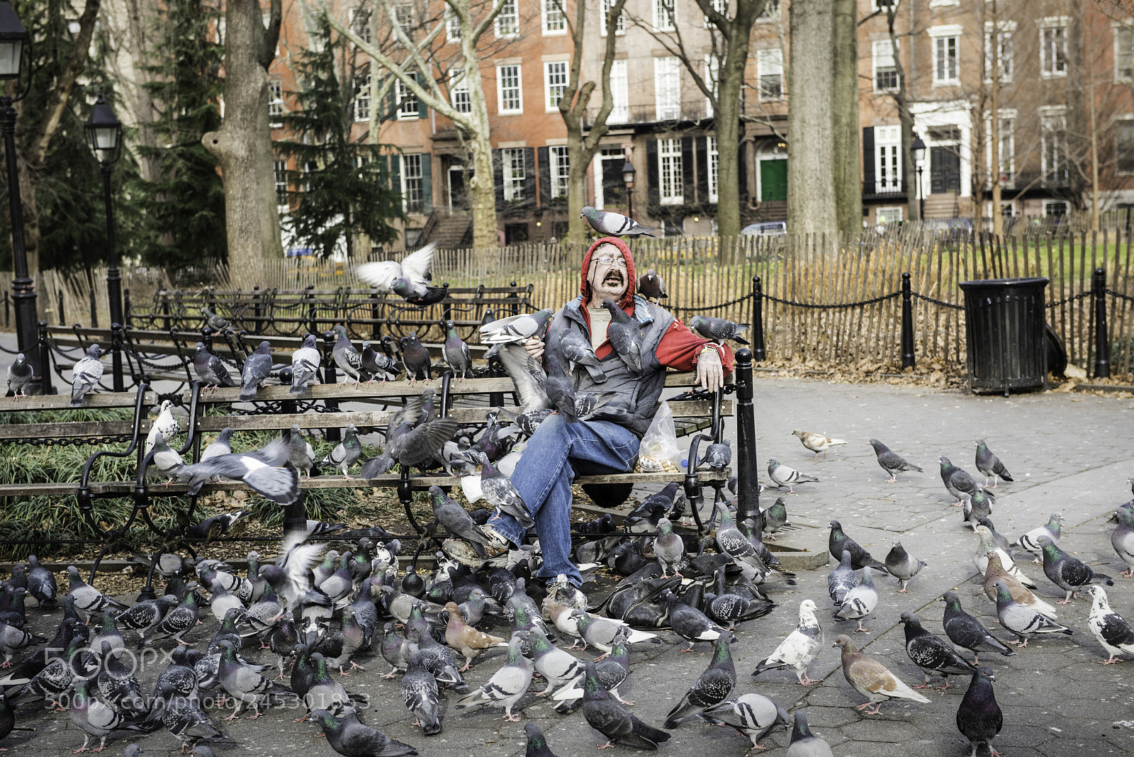 Nikon D810 sample photo. Pigeon man photography