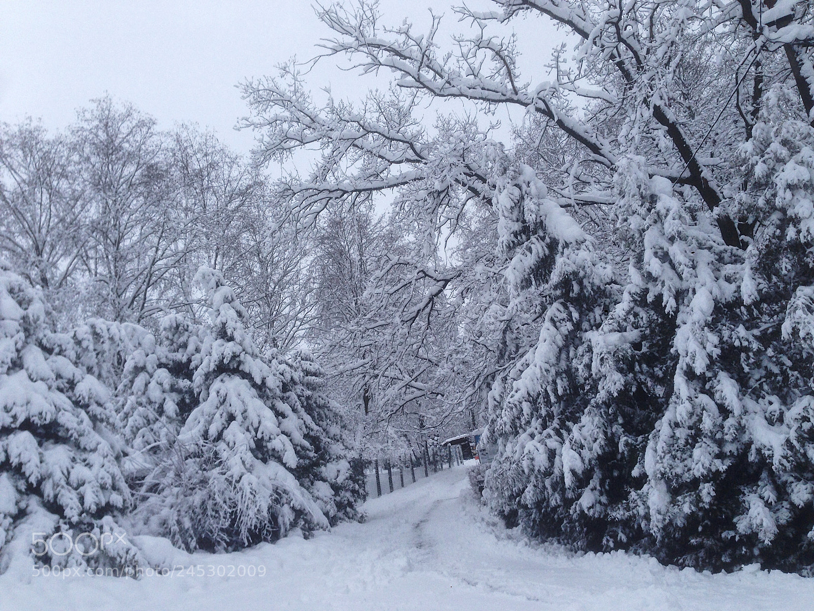 Apple iPhone 5 sample photo. Winter2018 photography
