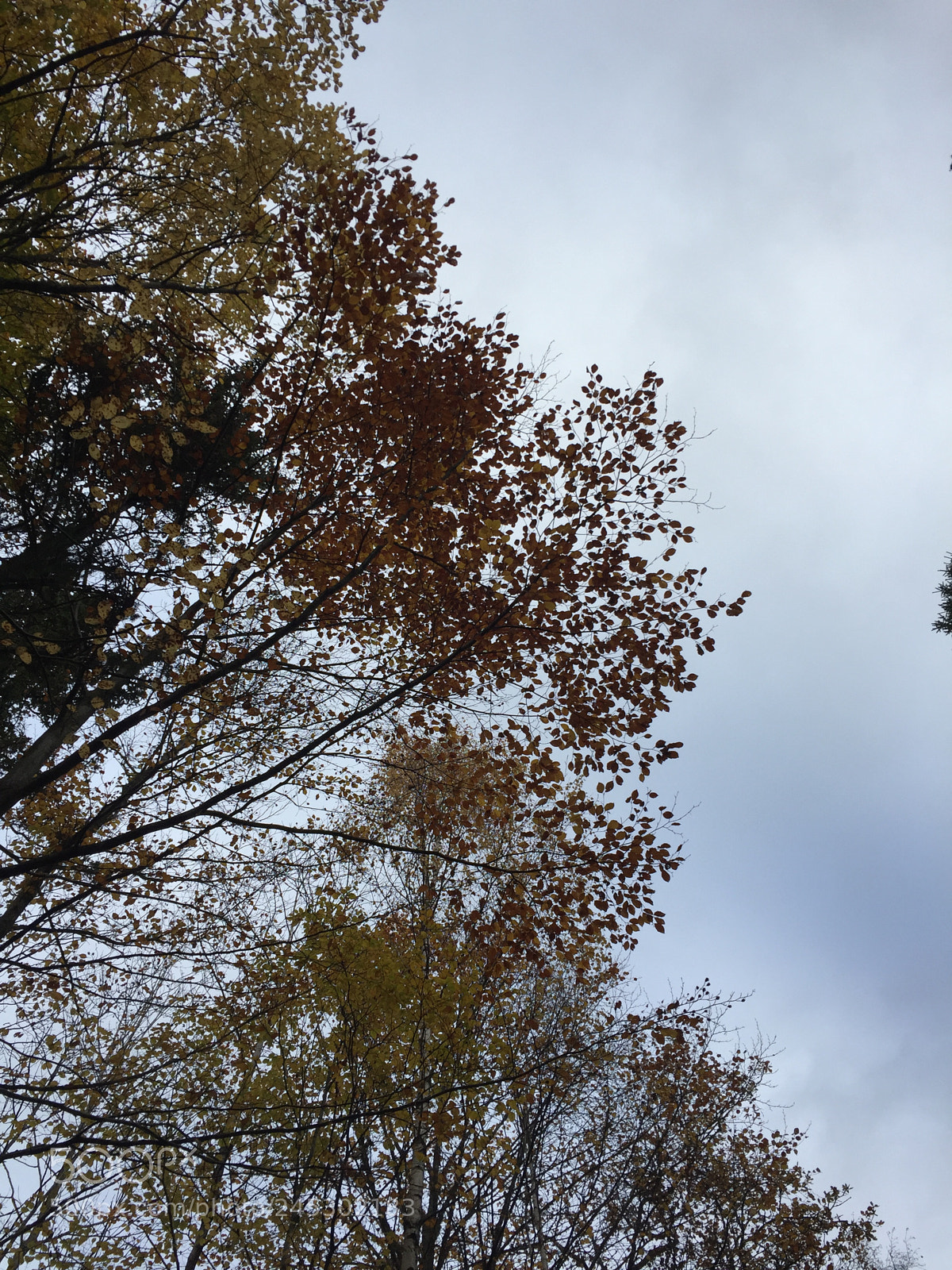 Apple iPhone 6 sample photo. Untitled photography